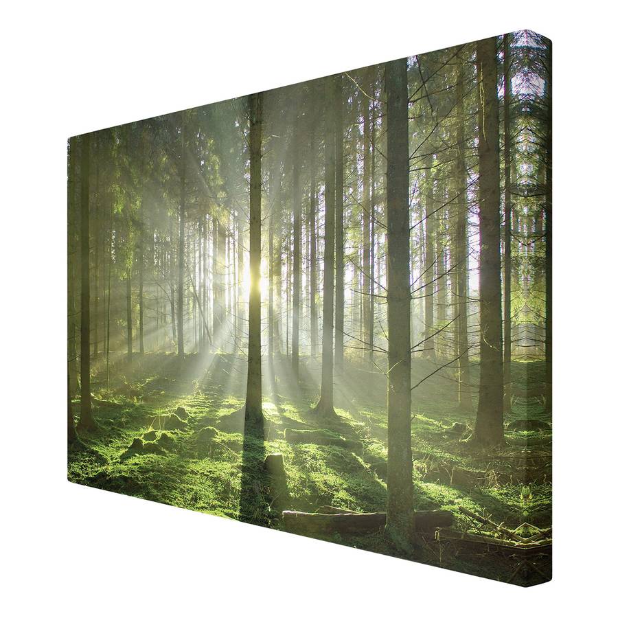 120 Cm Bild FichteMehrfarbig X LeinwandMassivholz Fairytale 180 Spring 8X0OPknw