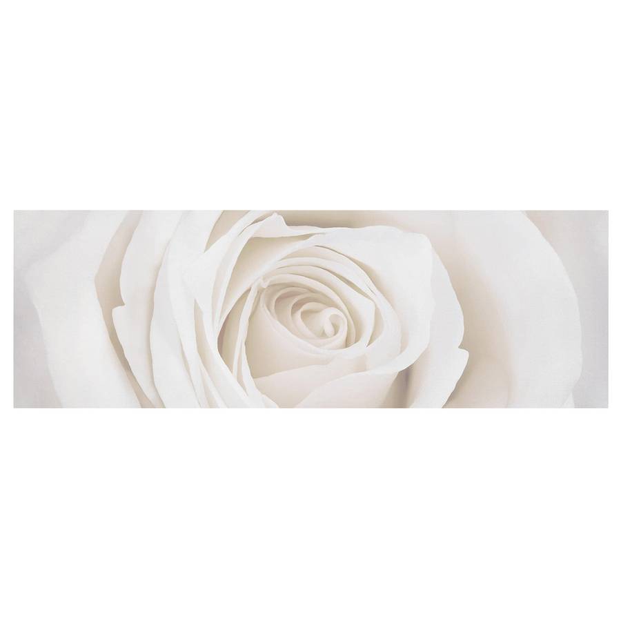 30 Pretty Cm Rose I LeinwandMassivholz 90 FichteMehrfarbig X White Bild uiwTOPZkX