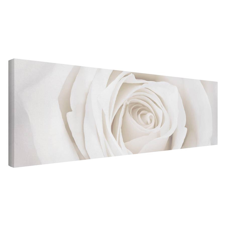 30 Pretty Cm Rose I LeinwandMassivholz 90 FichteMehrfarbig X White Bild uiwTOPZkX