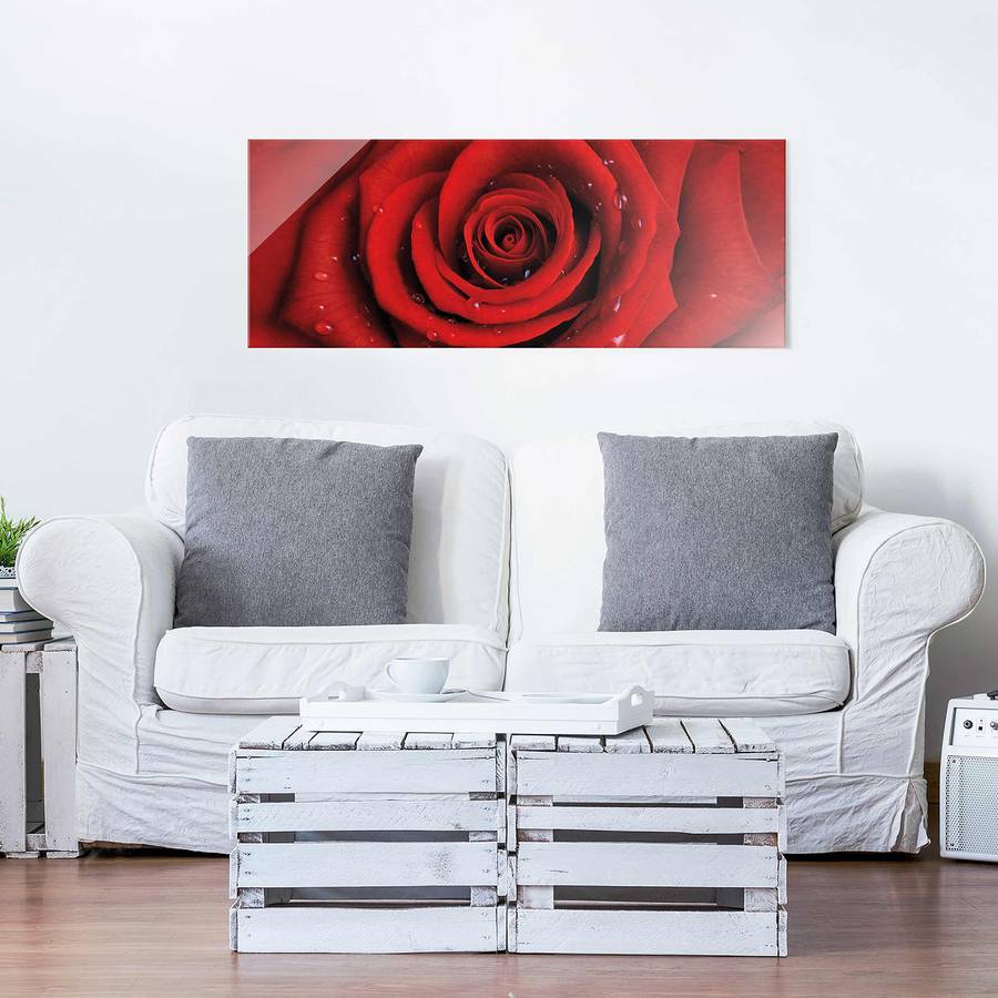Rote X EchtglasMehrfarbig Cm Bild Wassertropfen Starkes 40 100 Mit Rose trBhxCsQd