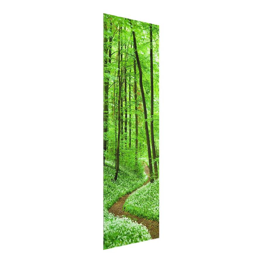 Starkes X 40 Romantischer Waldweg Bild EchtglasMehrfarbig Cm 100 N8n0Owmv