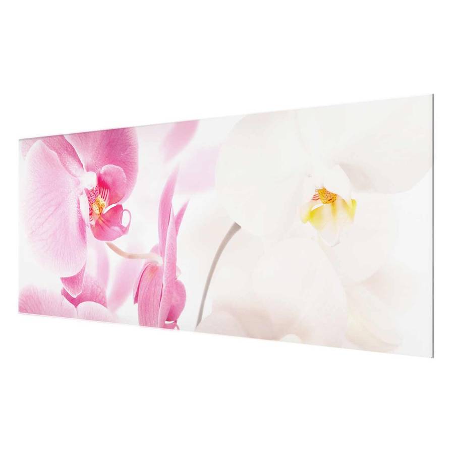 Cm Tableau X 125 RésistantMulticolore Déco 50 Orchids Delicate Verre Véritable nkw0OP