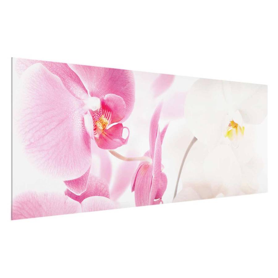 Cm Tableau X 125 RésistantMulticolore Déco 50 Orchids Delicate Verre Véritable nkw0OP
