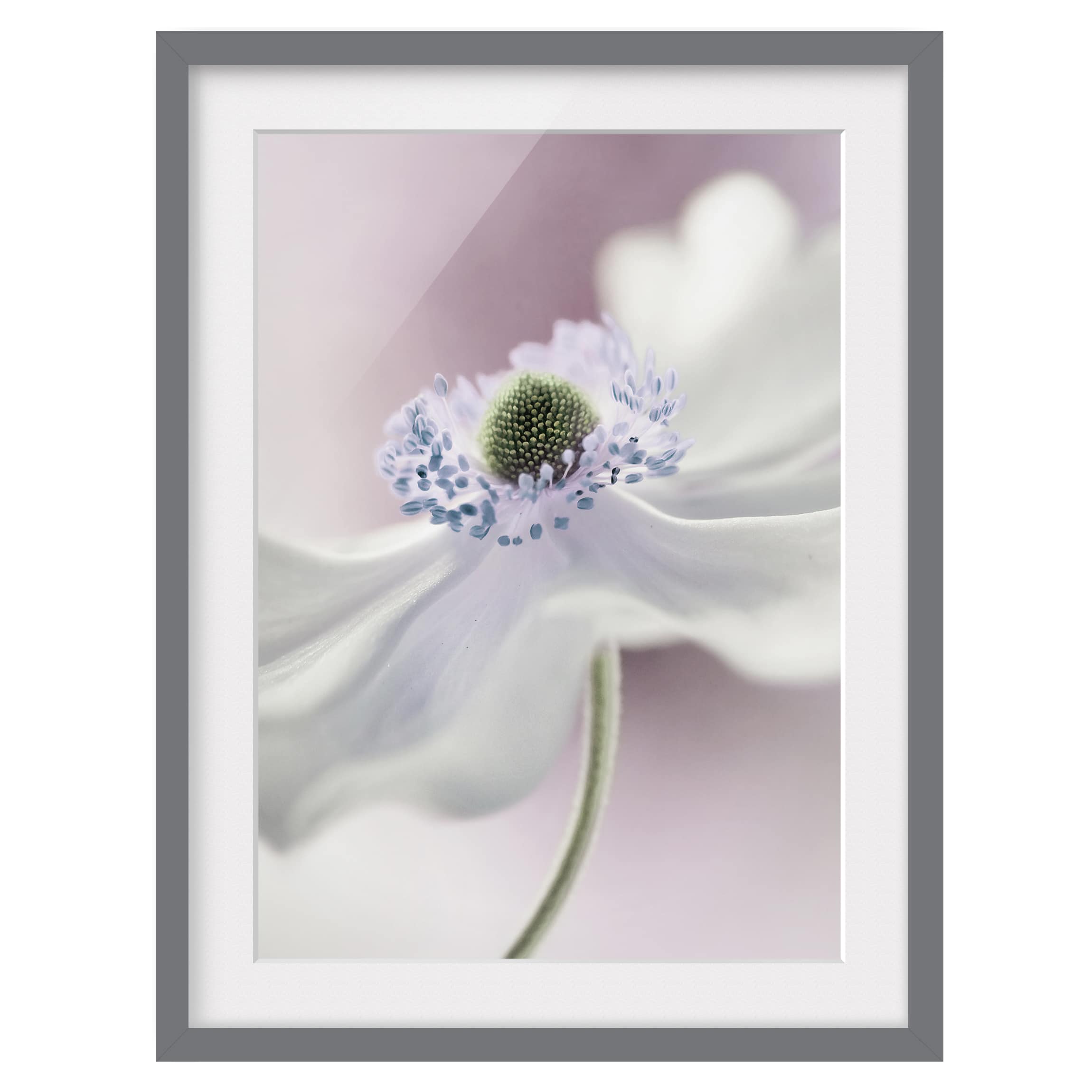 Impression d’art Brise d’anémone III