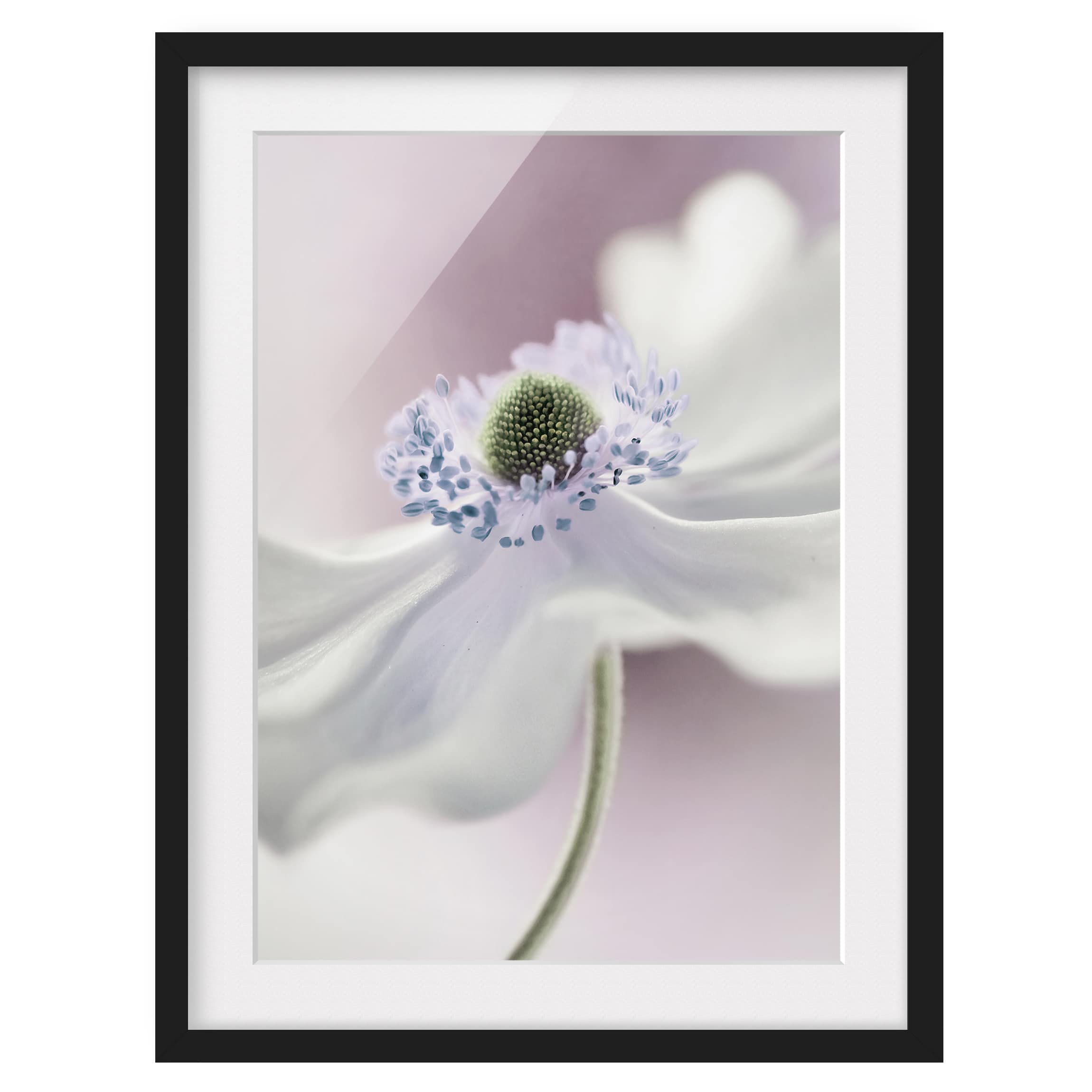 Impression d’art Brise d’anémone I