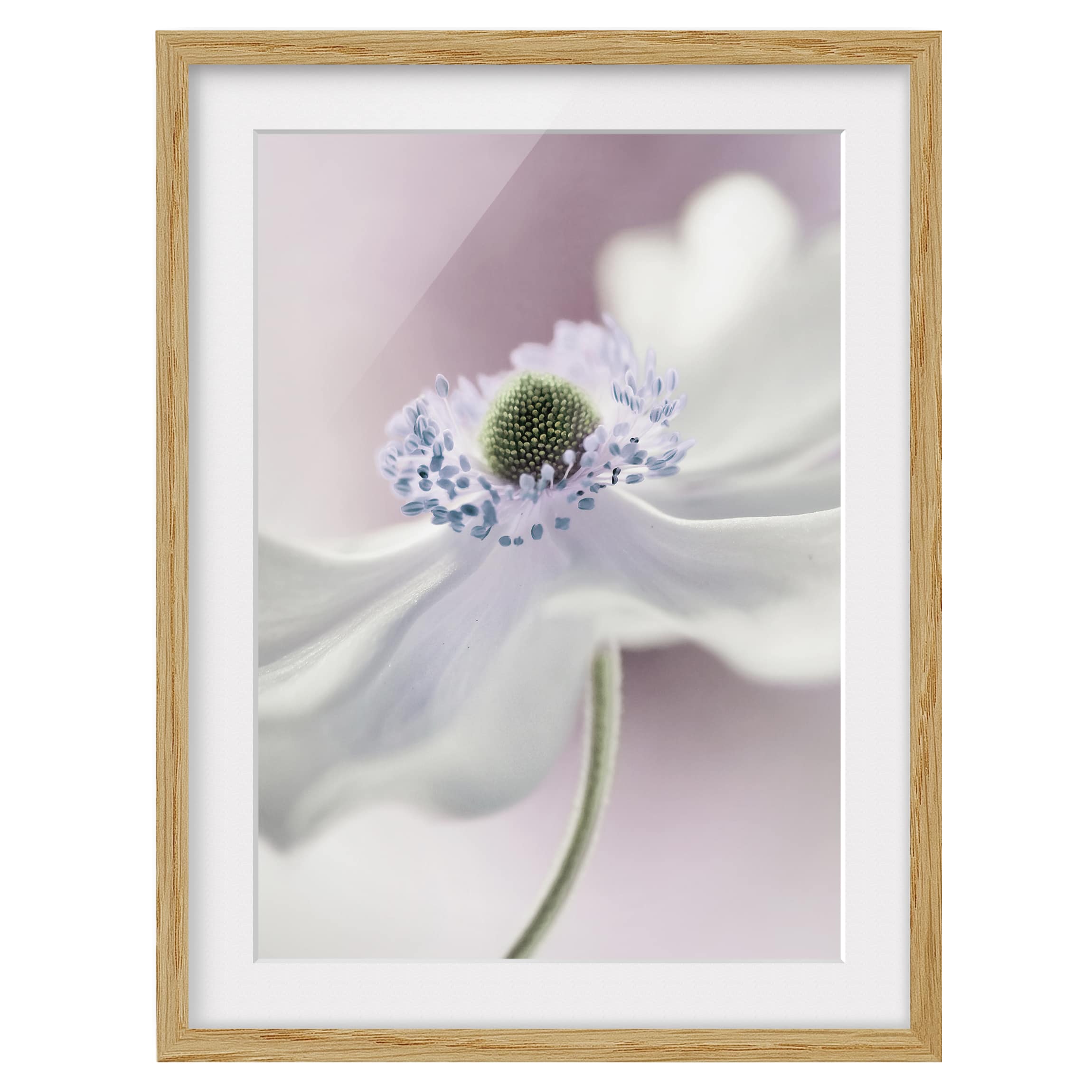 Impression d’art Brise d’anémone IV