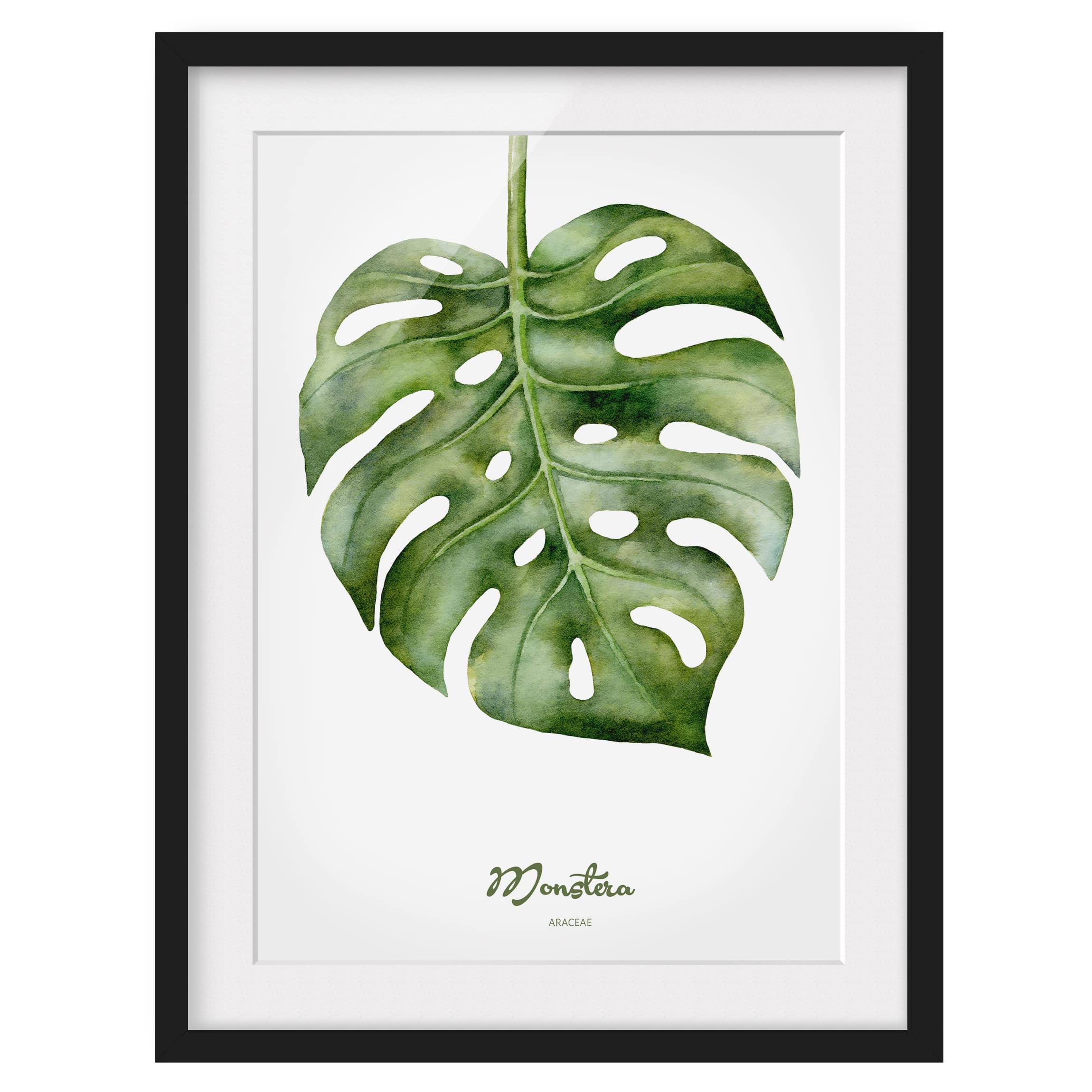 Impression d’art aquarelle Monstera I