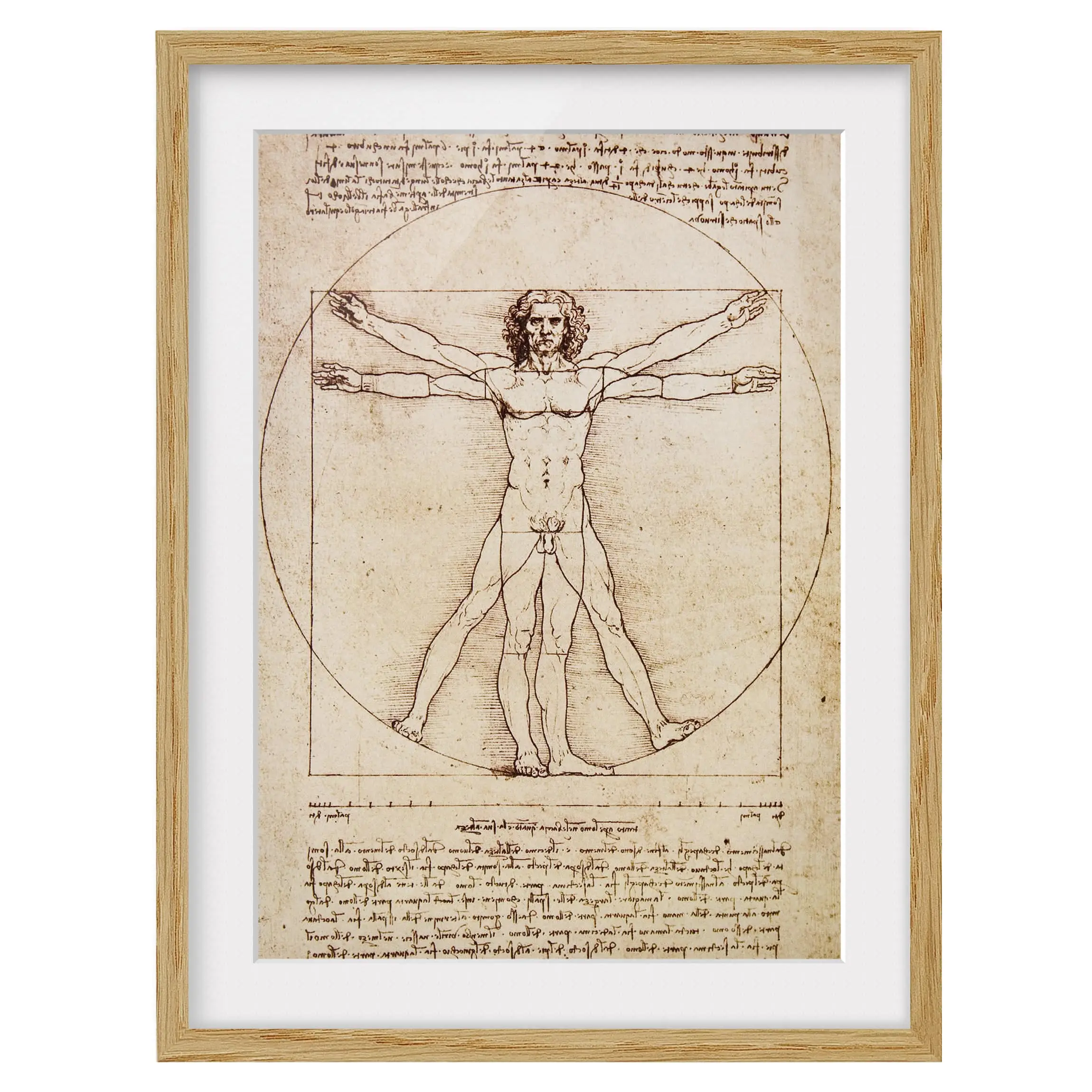 Bild Da Vinci IV | Bilder