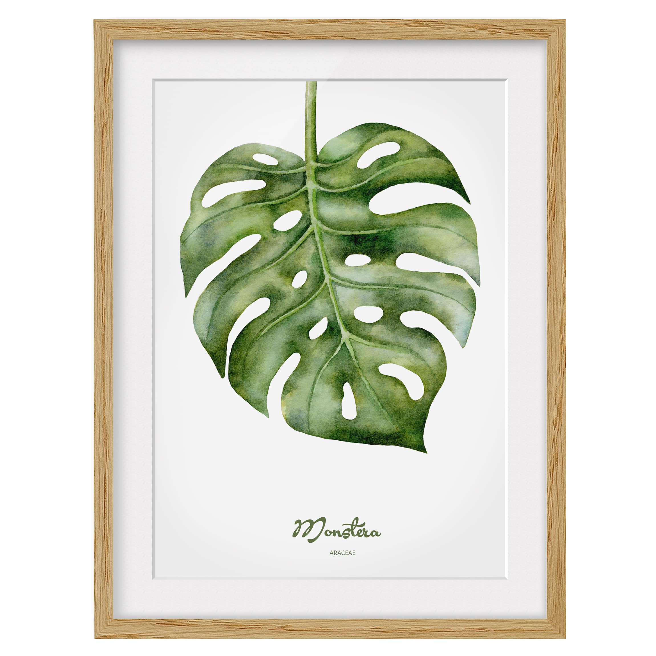 Impression d’art aquarelle Monstera IV