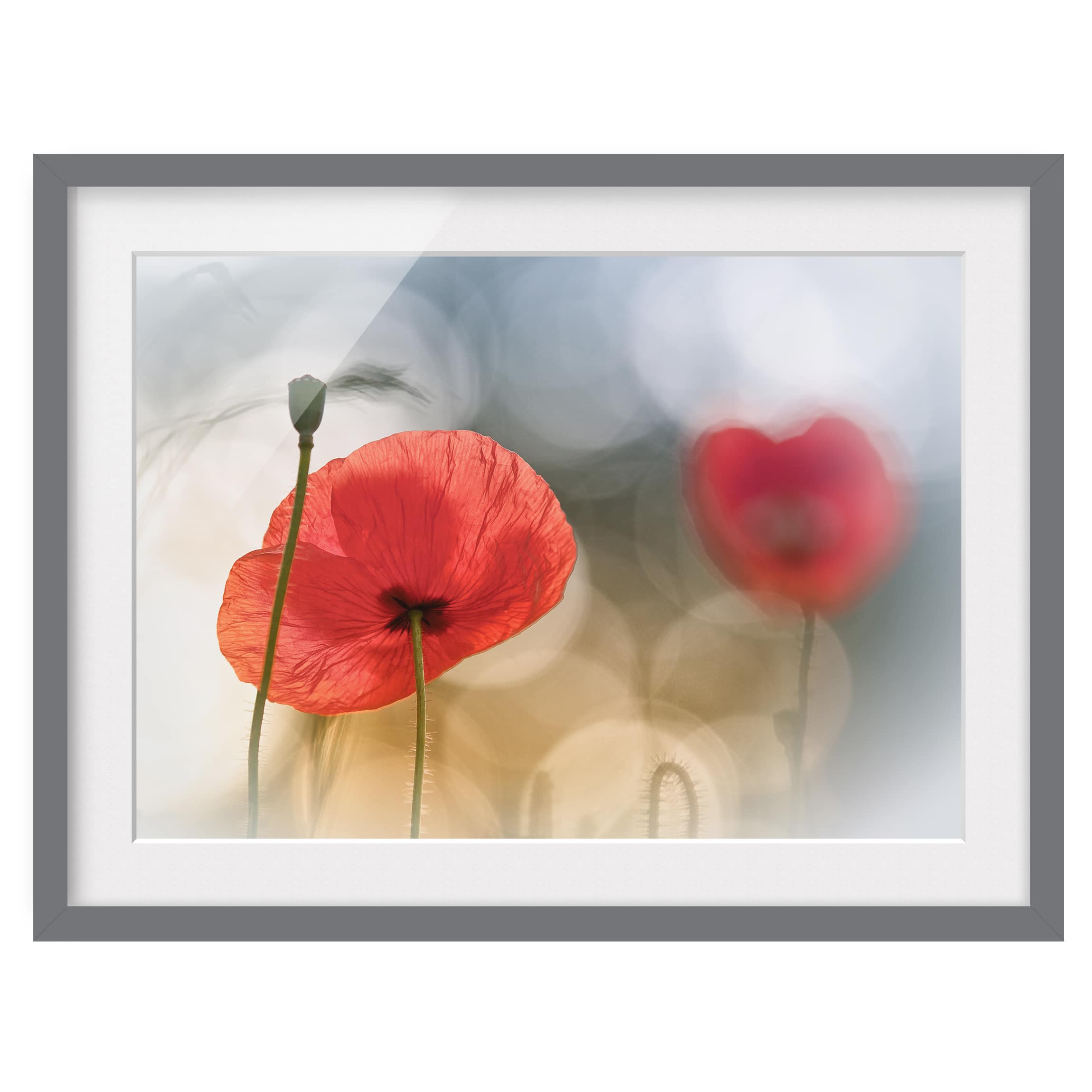 Tableau déco coquelicots le matin III