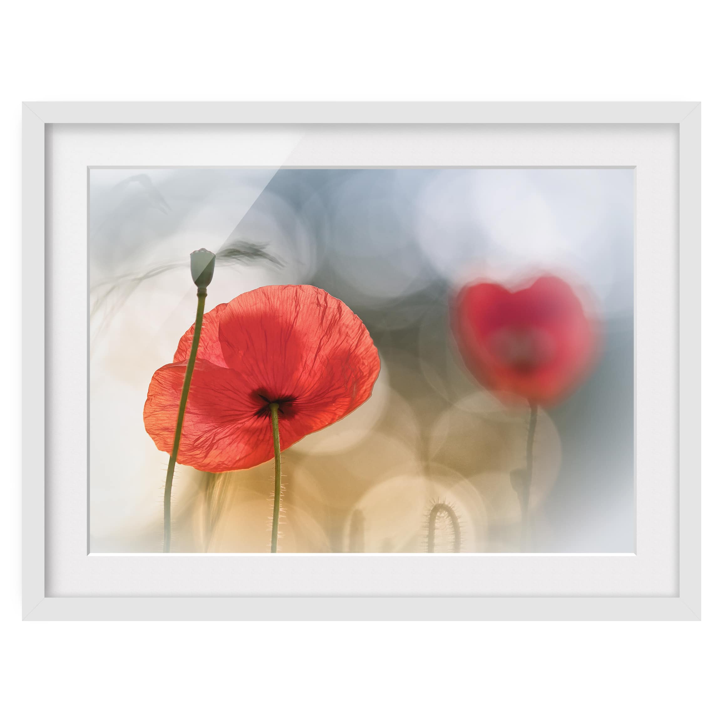 Tableau déco coquelicots le matin II