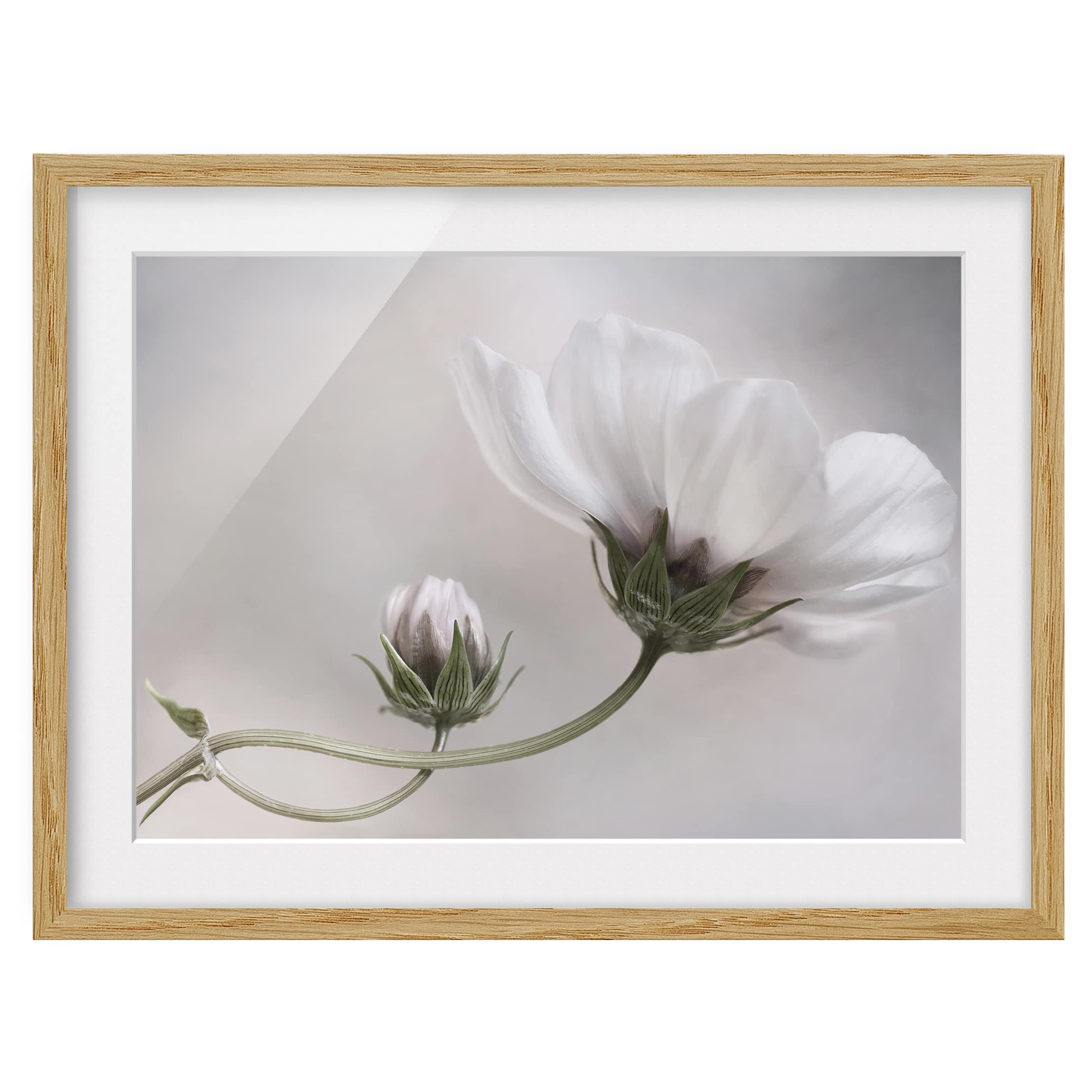 Tableau déco Simply Cosmos IV