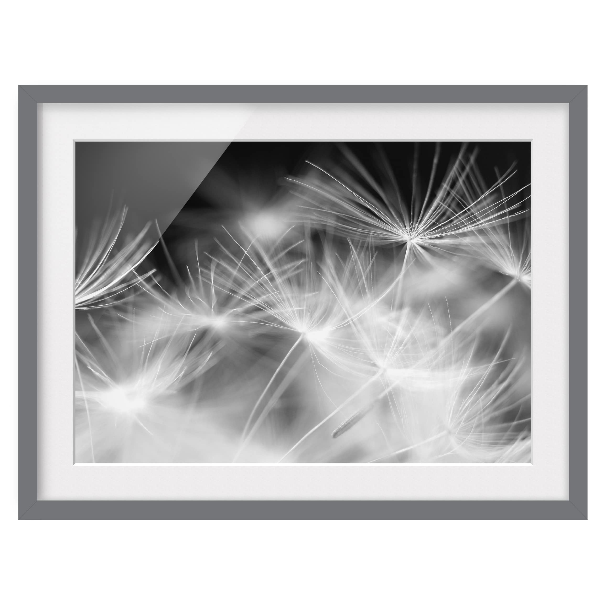 Tableau déco pissenlit III