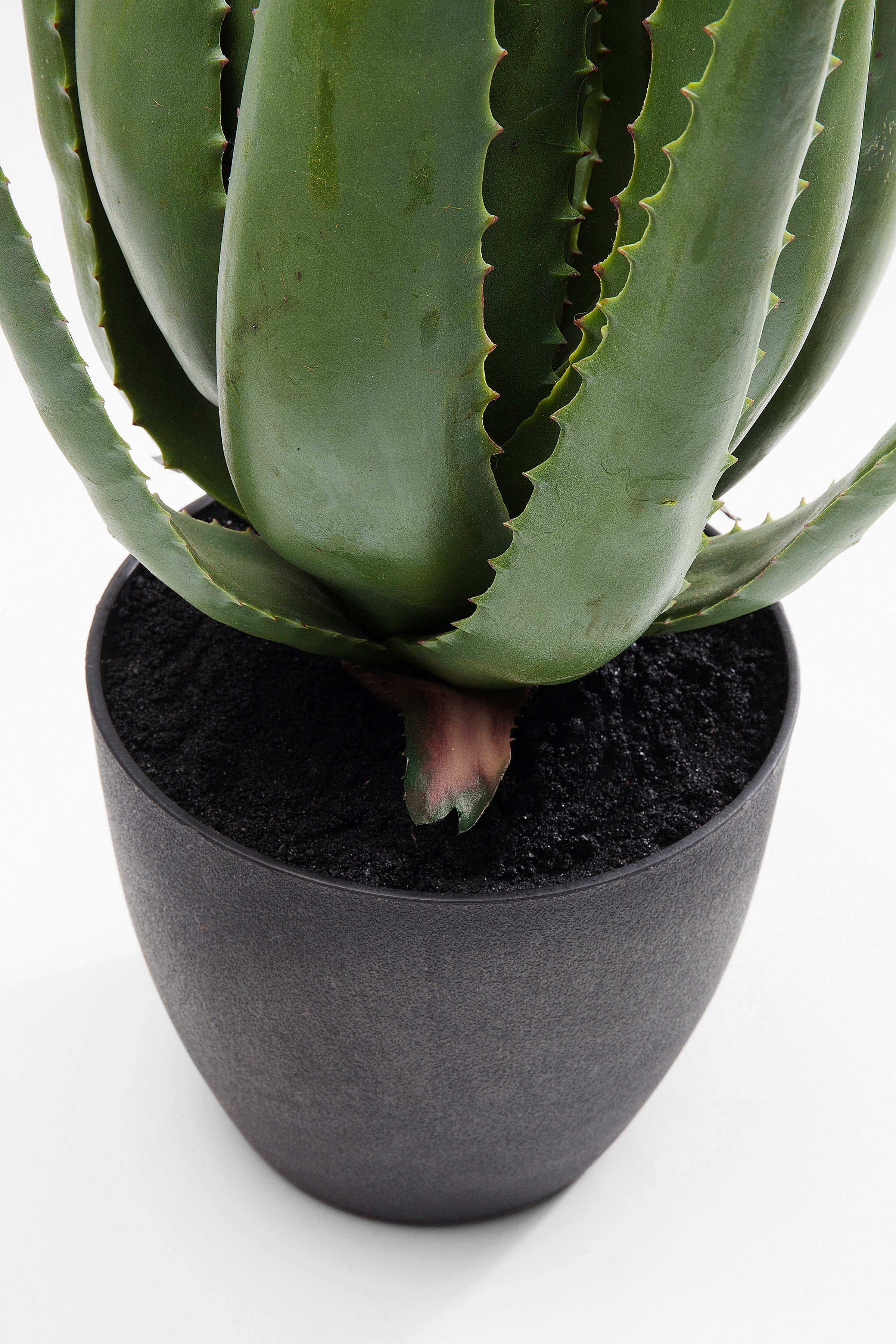 Kunstpflanze Aloe Vera kaufen | home24