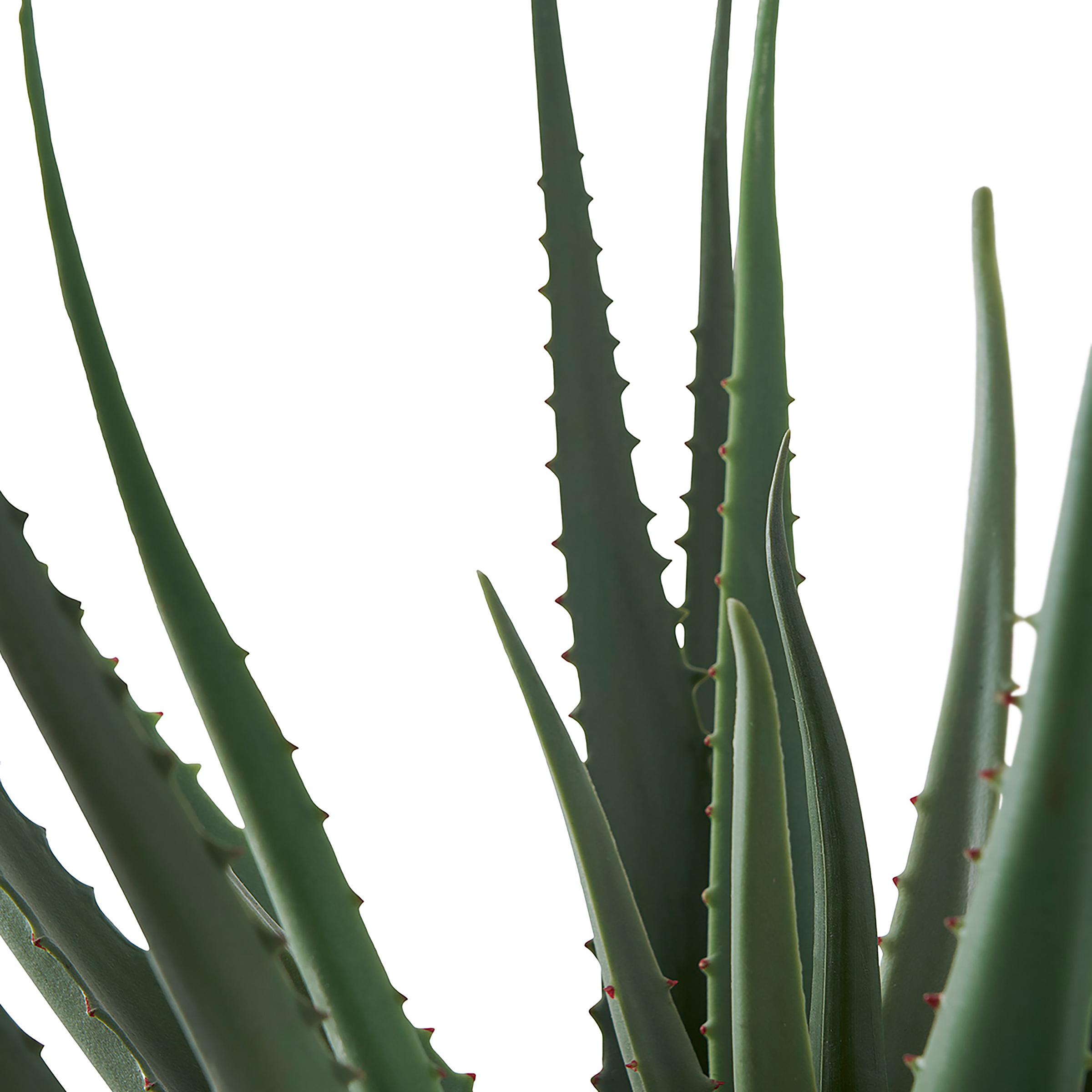 Kunstpflanze Aloe Vera kaufen | home24