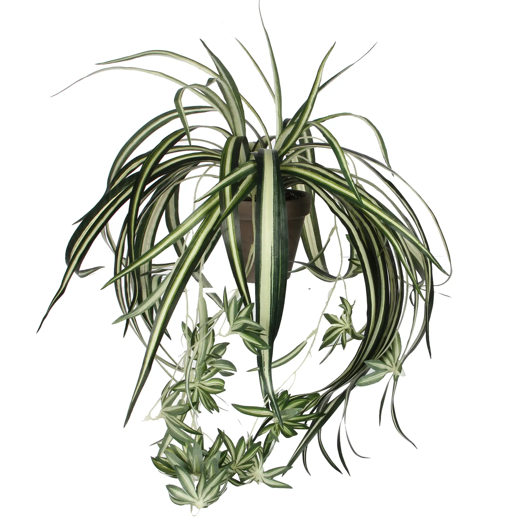 Kunstpflanze Chlorophytum