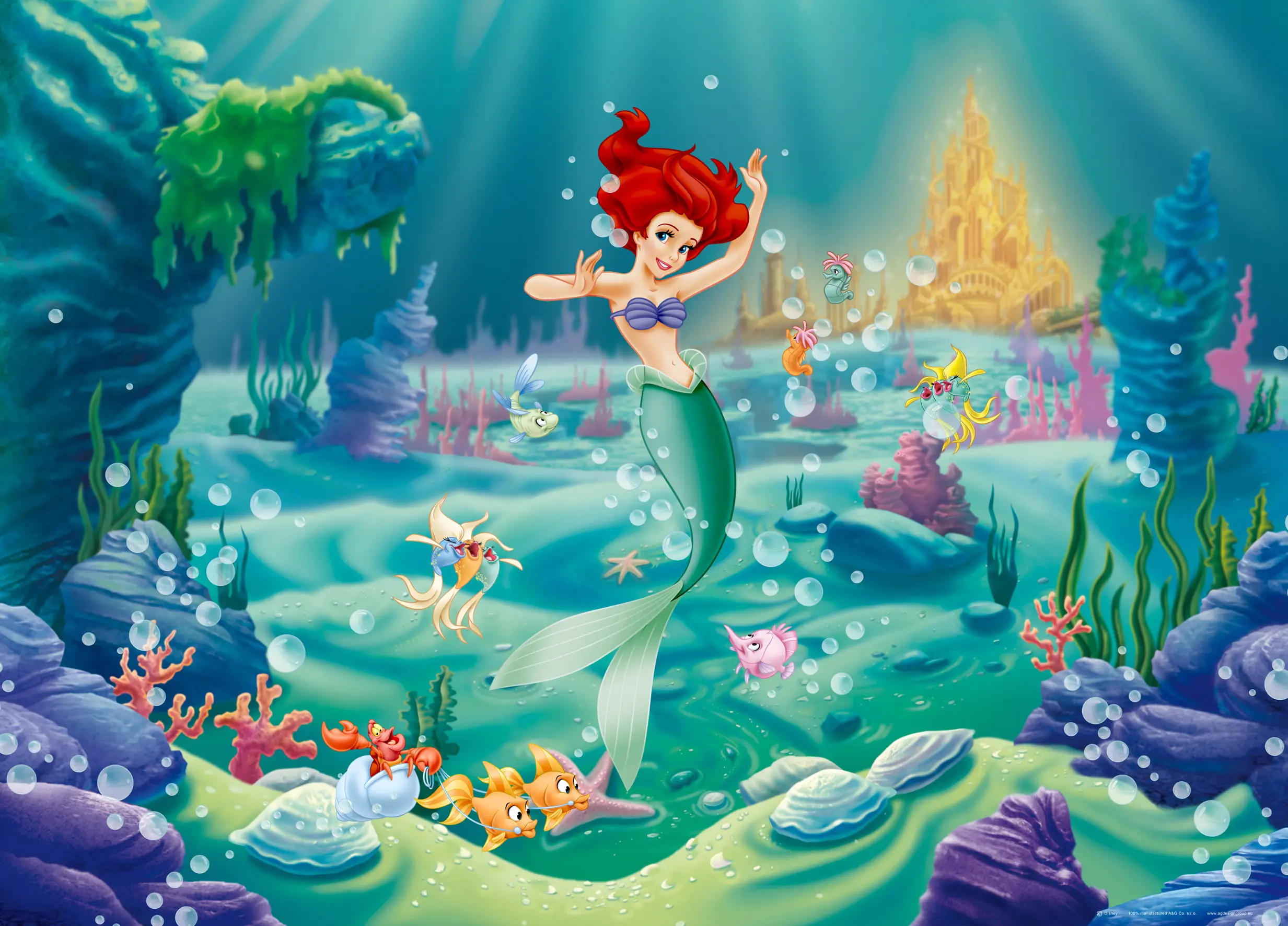 Poster Arielle - die Meerjungfrau