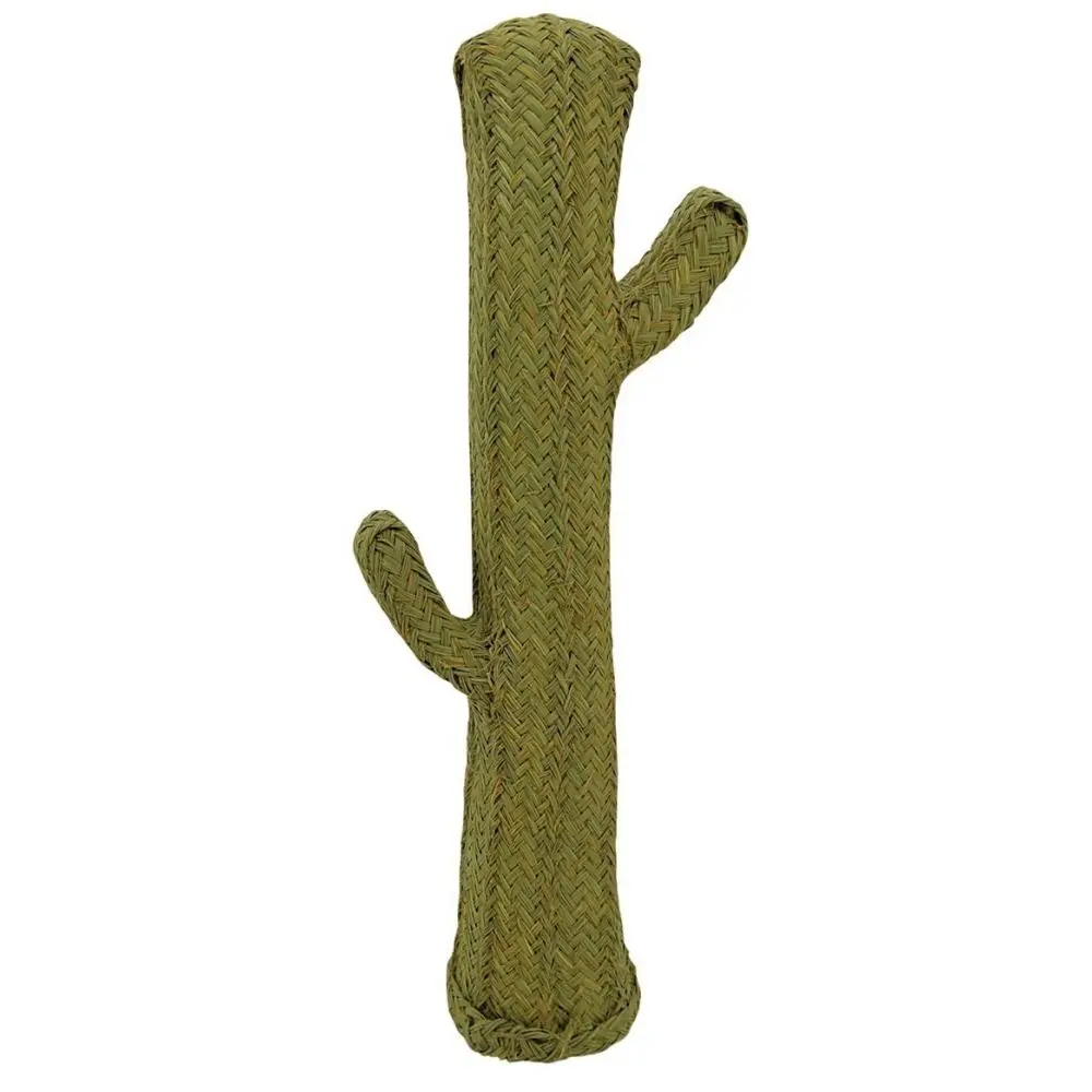 Dekorativer Kaktus aus Alfagras
