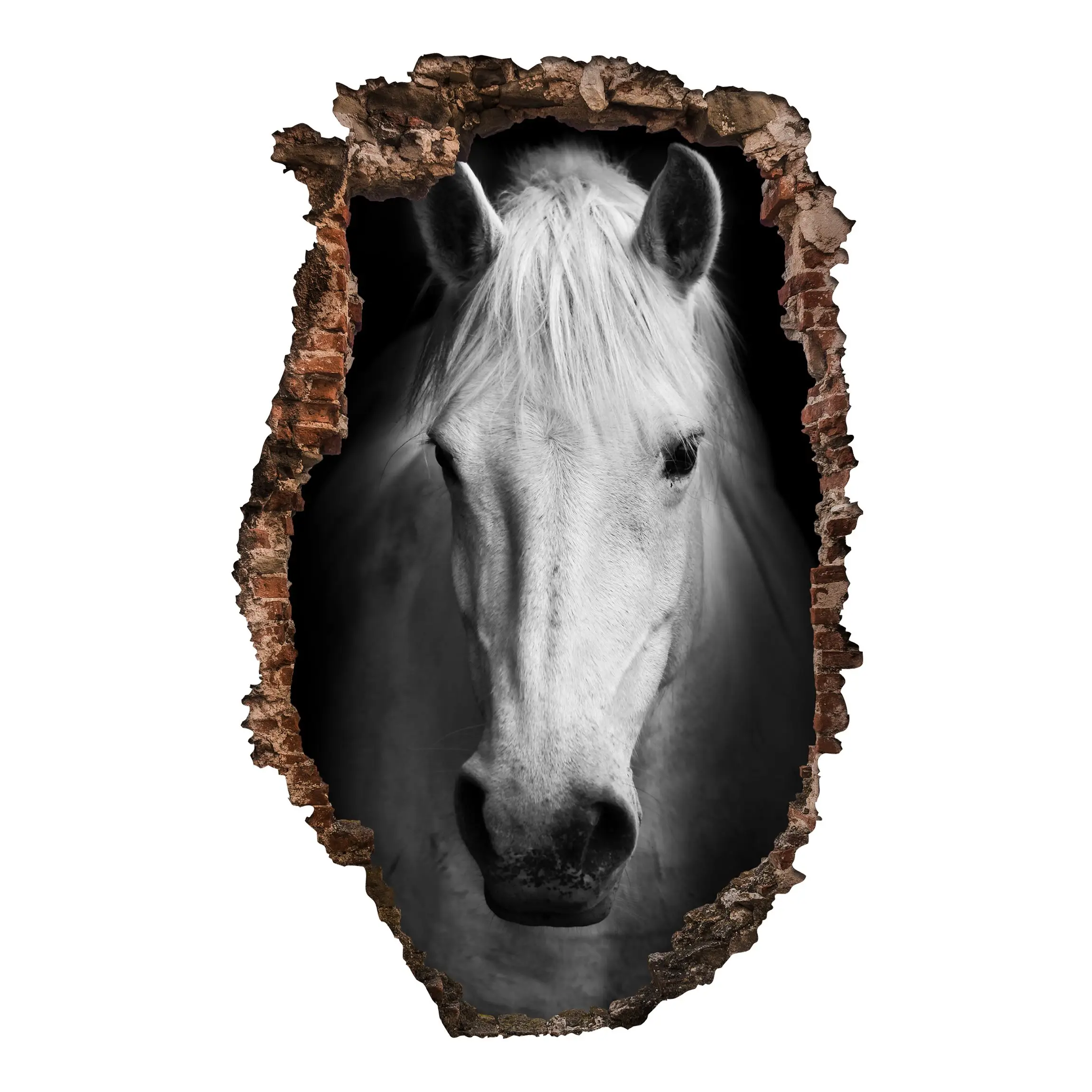 Dream of a Horse | Kinderzimmer-Wandaufkleber