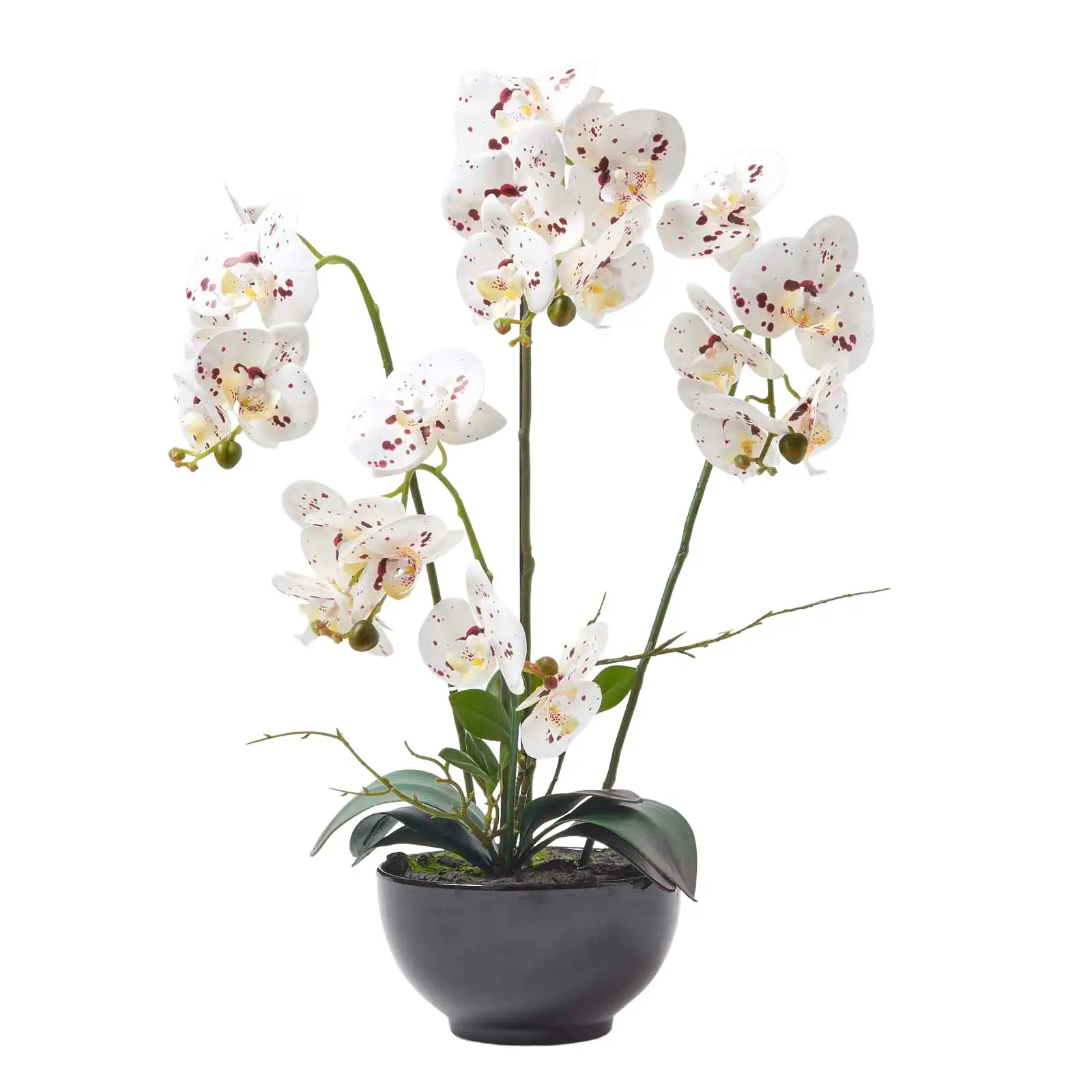 K眉nstliche wei脽e Phalaenopsis-Orchidee
