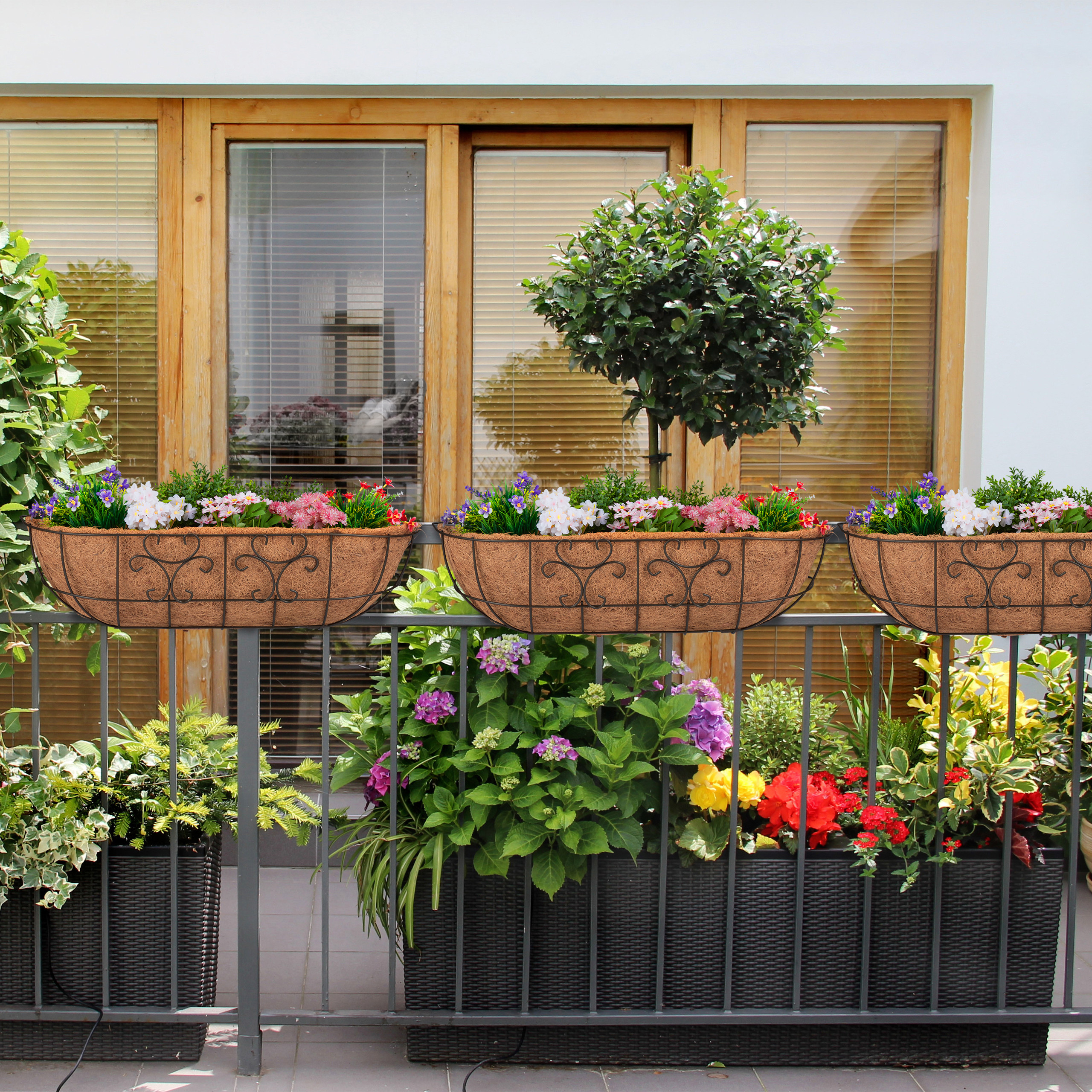hecke fr blumenkasten Hecke am laufenden Meter Balkon' mit Gef-Bausatz  Helix Pflanzen