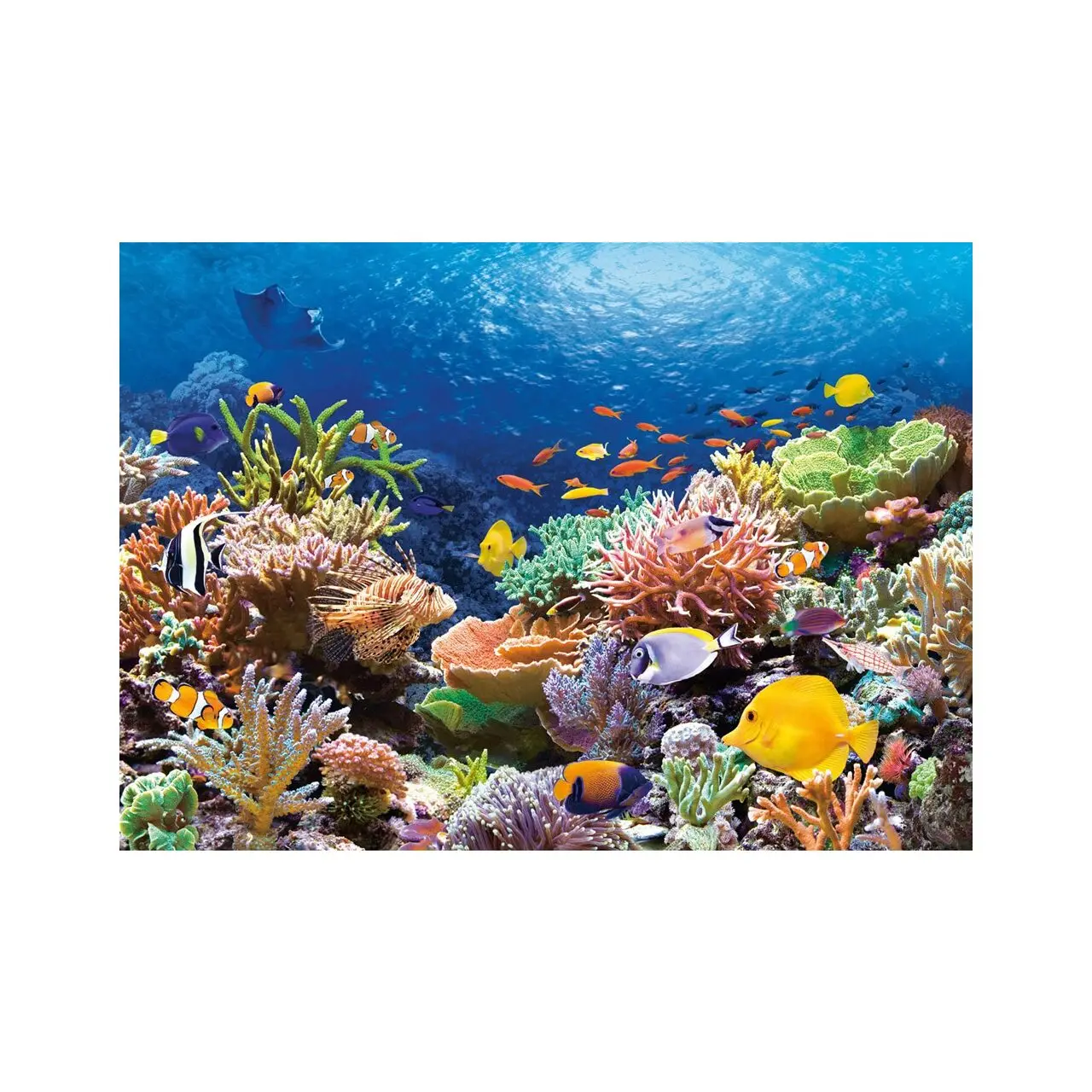 1000 Korallenrifffische Puzzle Teile