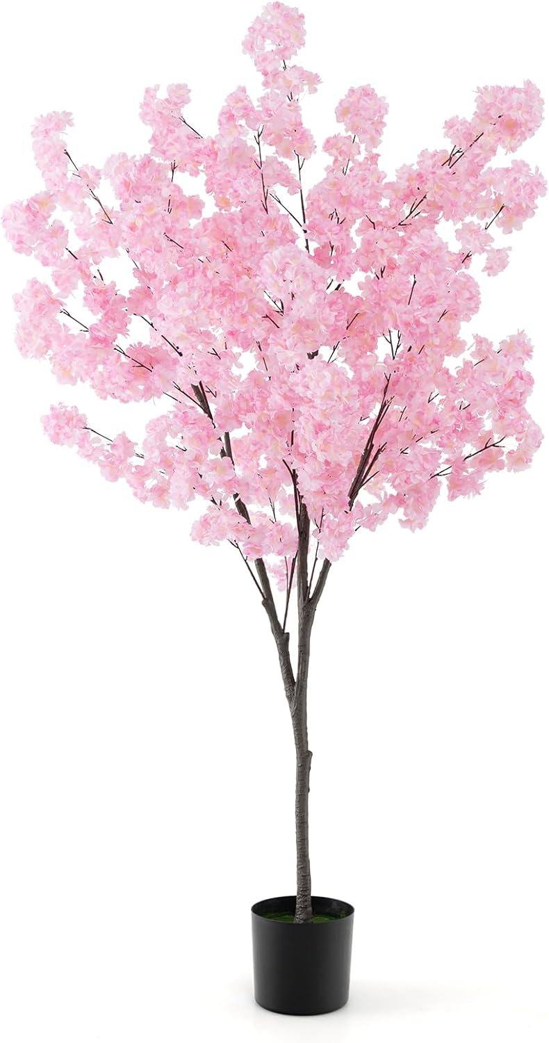 Kirschblütenbaum TL32422DE kaufen home24