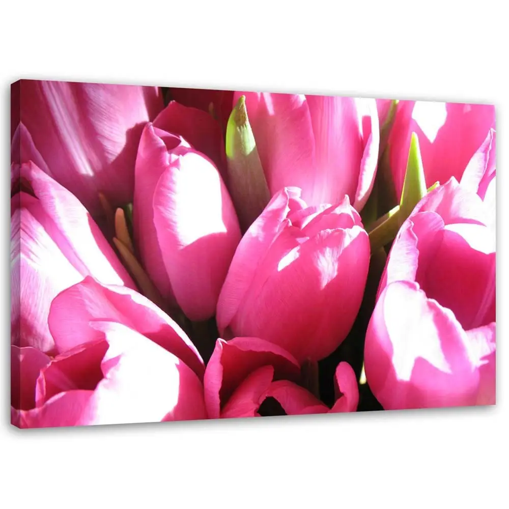 Blumen Tulpen auf Rosa leinwand Bild