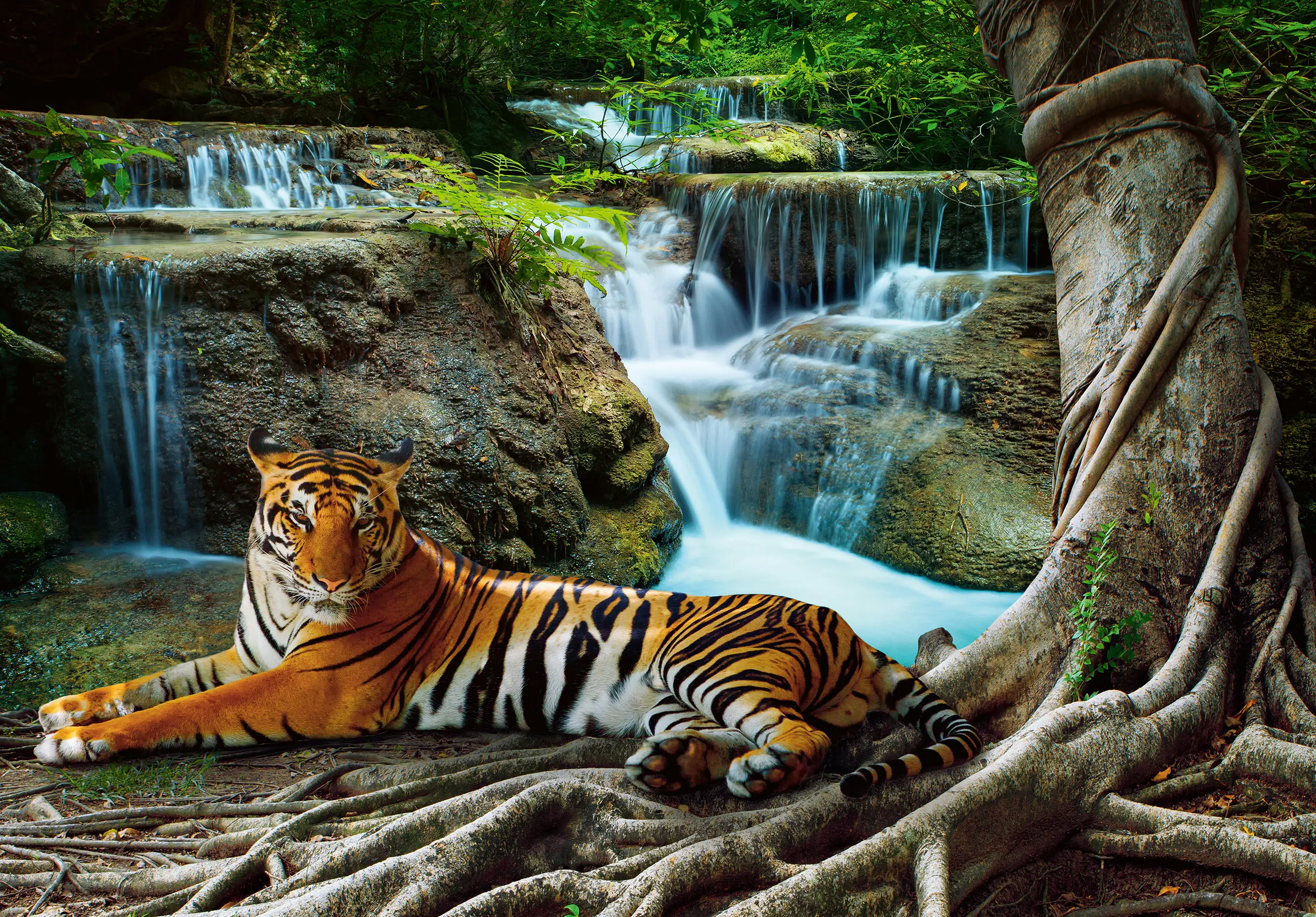 Vlies Fototapete Tiger Wasserfall Wald