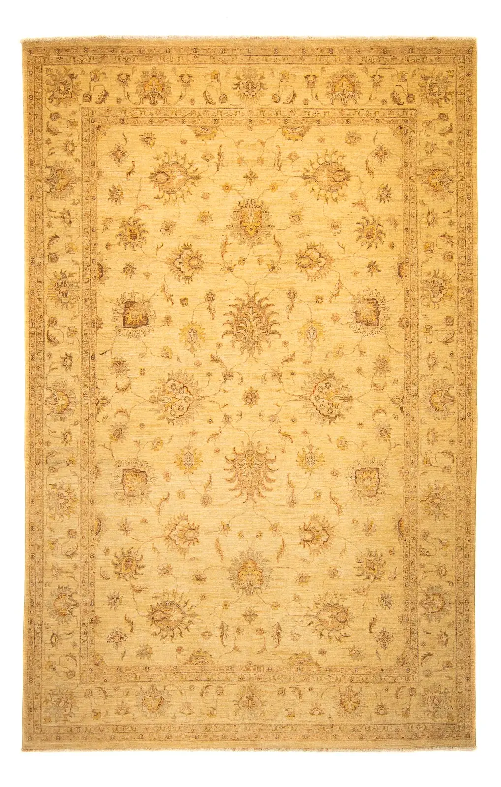 Ziegler Teppich - 368 x 254 cm - beige