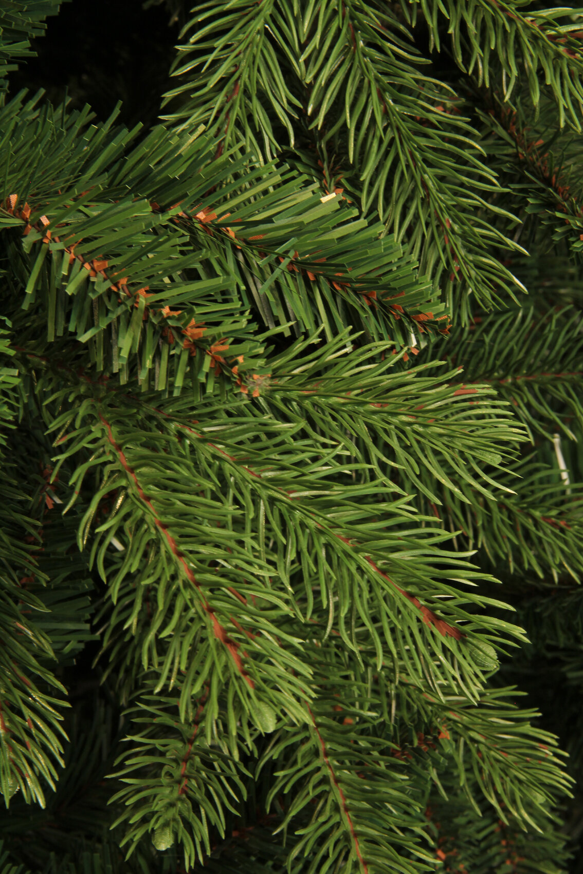 Knstlicher Weihnachtsbaum Brampton kaufen | home24