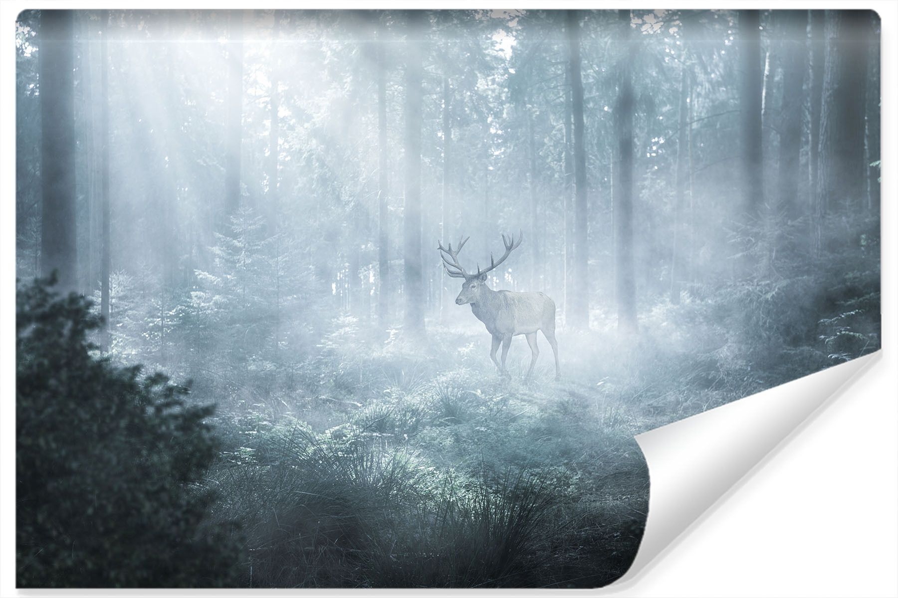 Fototapete Bäume 3D Effekt Nebel Wald Landschaft Natur Wiese