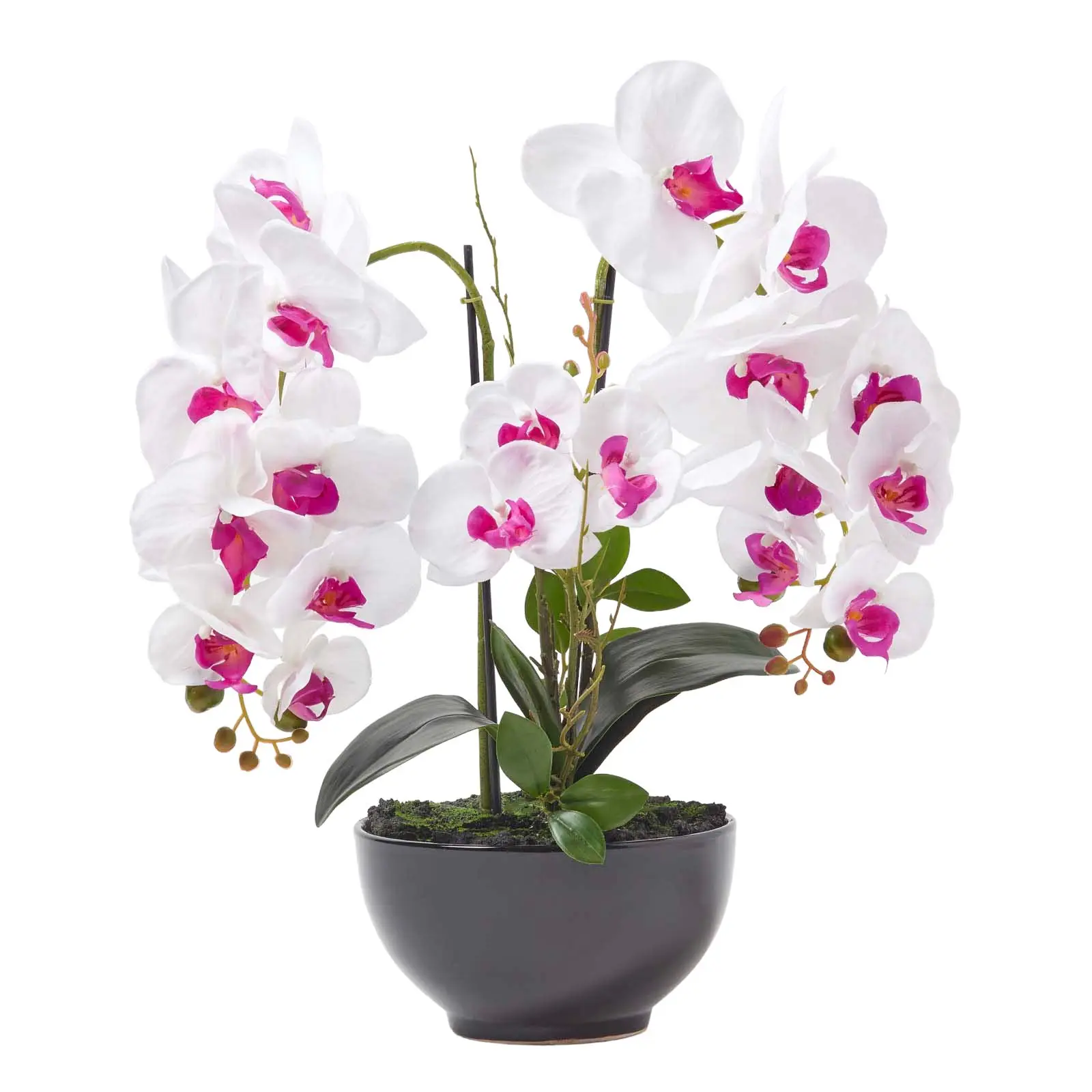 K眉nstliche wei脽-pinke Phalaenopsis