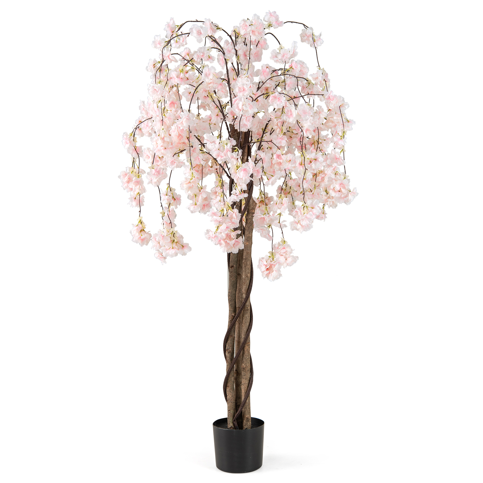 Kirschblütenbaum TL32578 kaufen