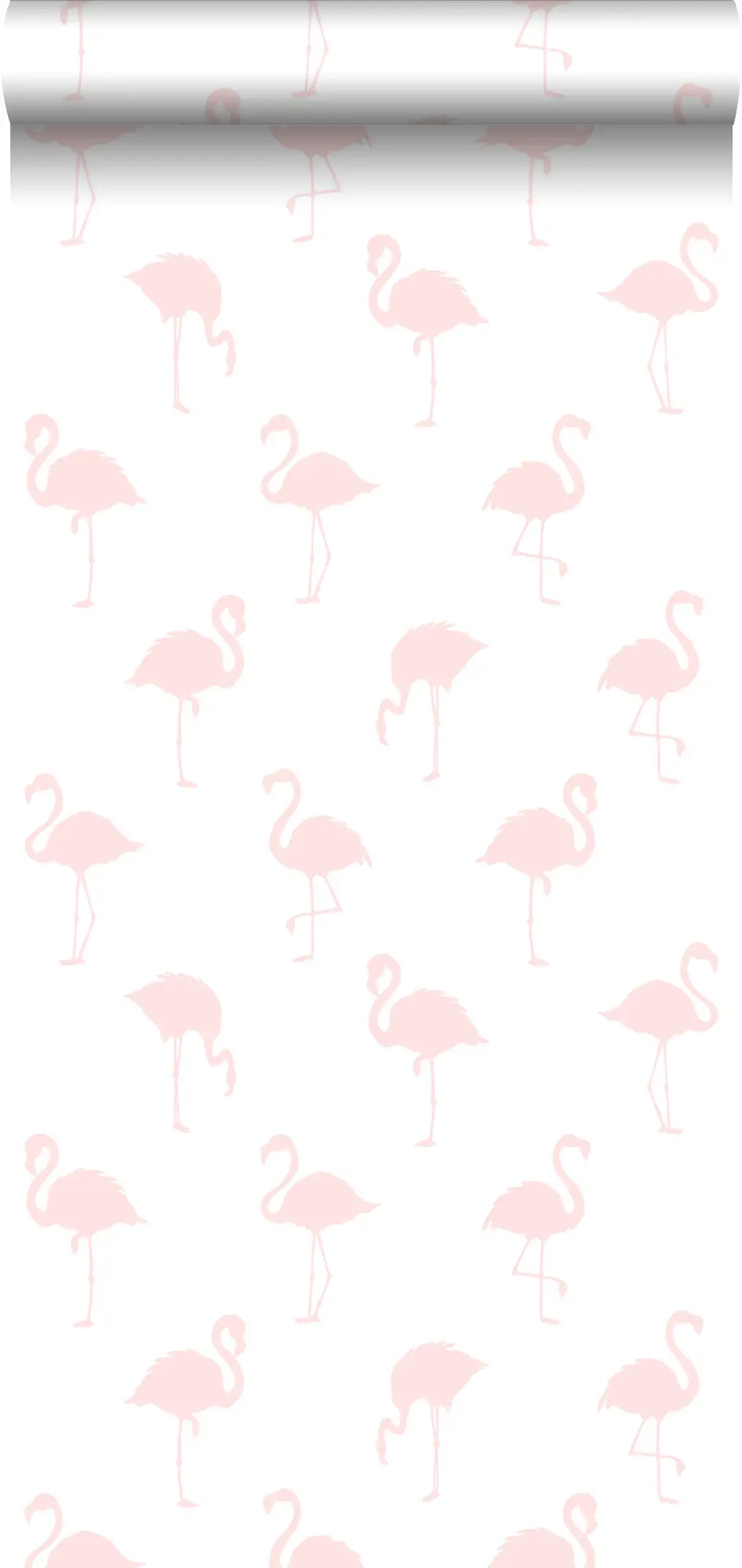 Tapete Flamingos | Tapeten