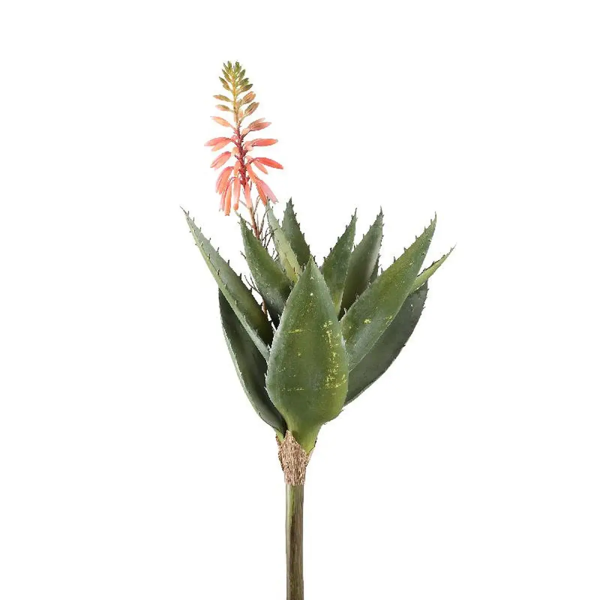 K眉nstliche Succulent Pflanze