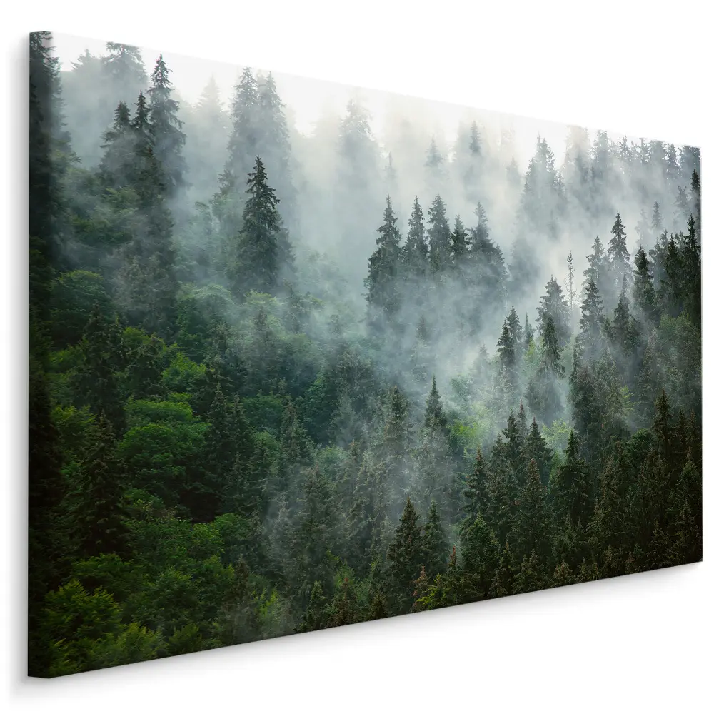 Leinwandbild Wald im Landschaft 3D Nebel