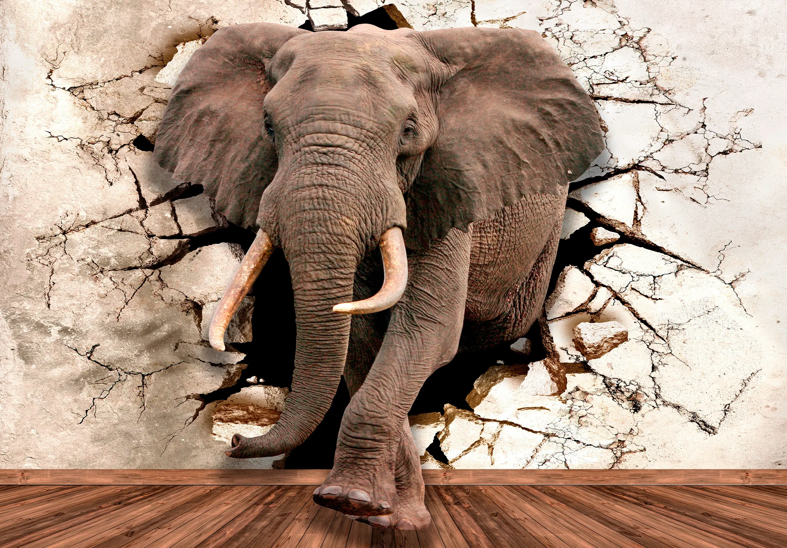 Vlies 3D Fototapete Elefant Tiere
