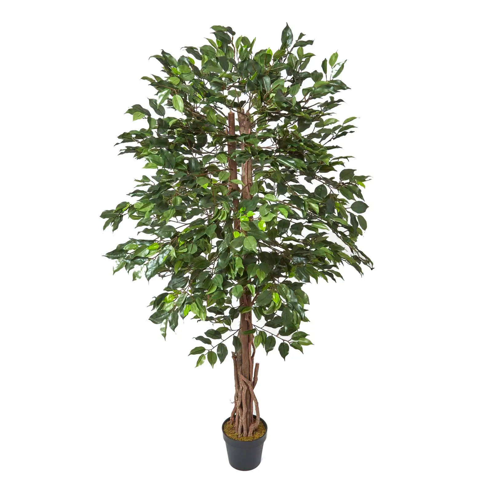 Kunstbaum Ficus Benjamini gr眉n 180 cm