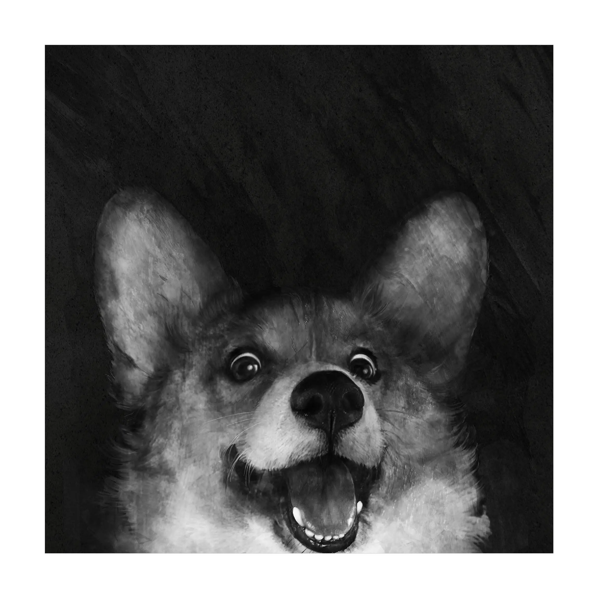 Illustration Hund Corgi Schwarz Wei脽