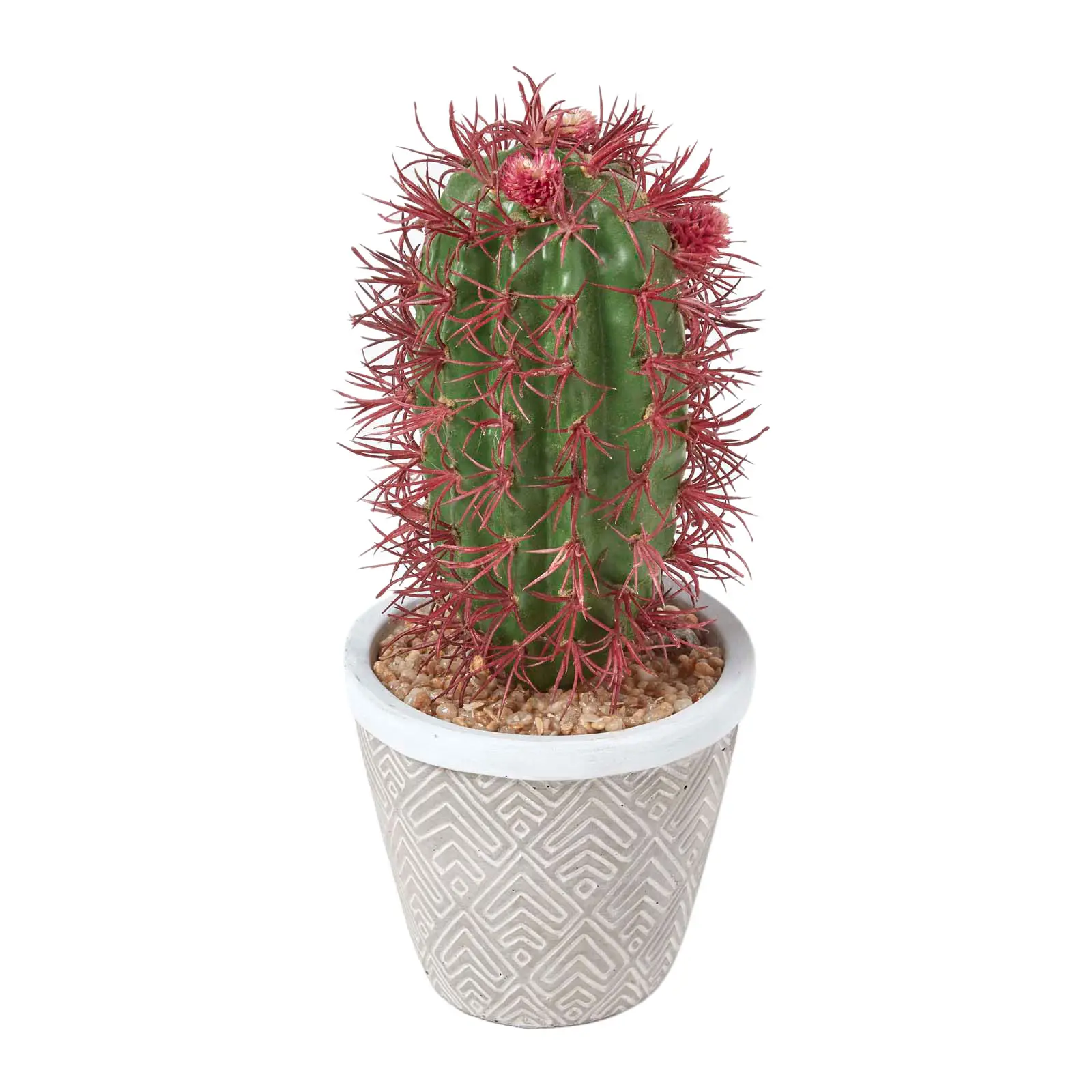 Denmoza K眉nstlicher Kaktus Rhodacantha
