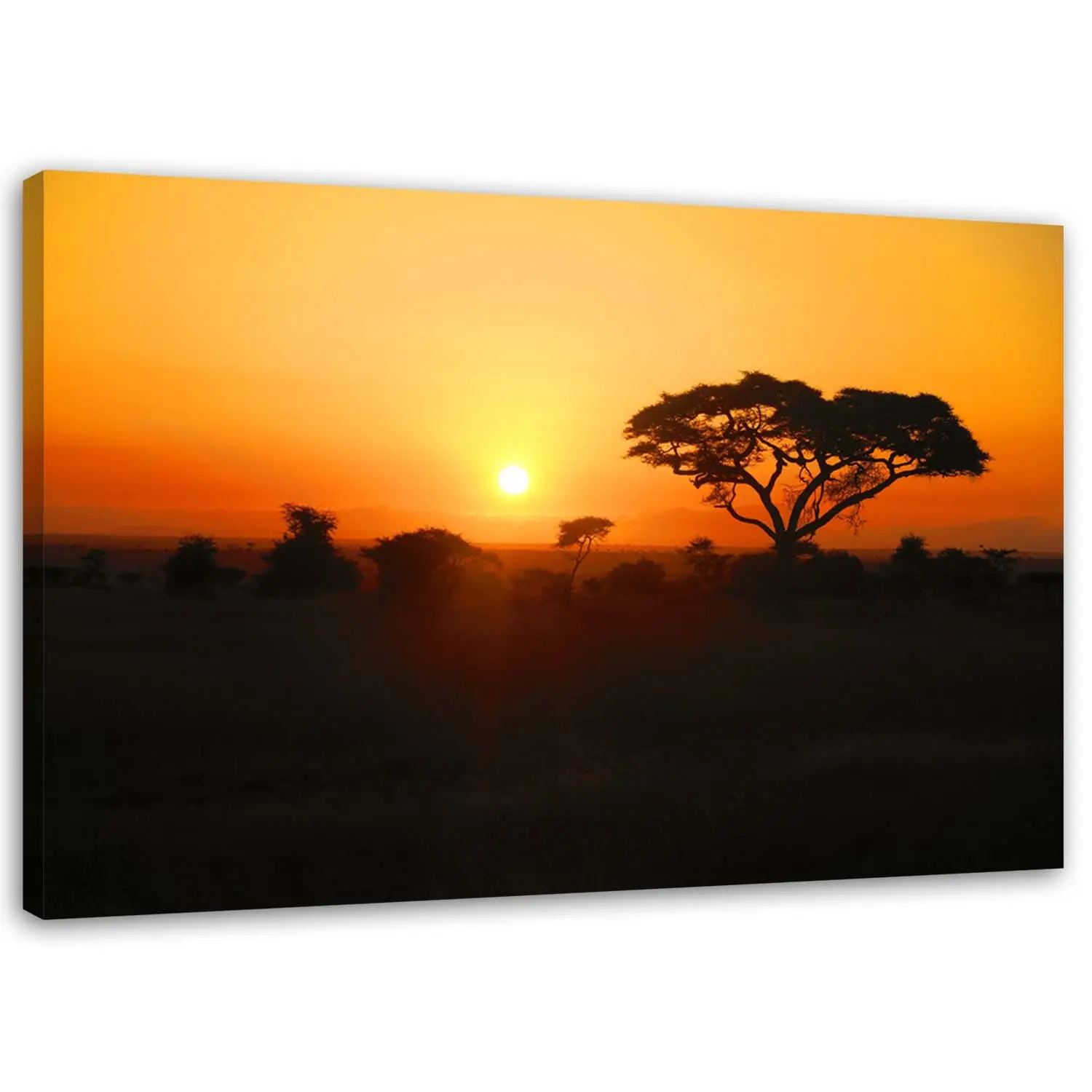 Wandbilder Baum Sonnenuntergang Afrika