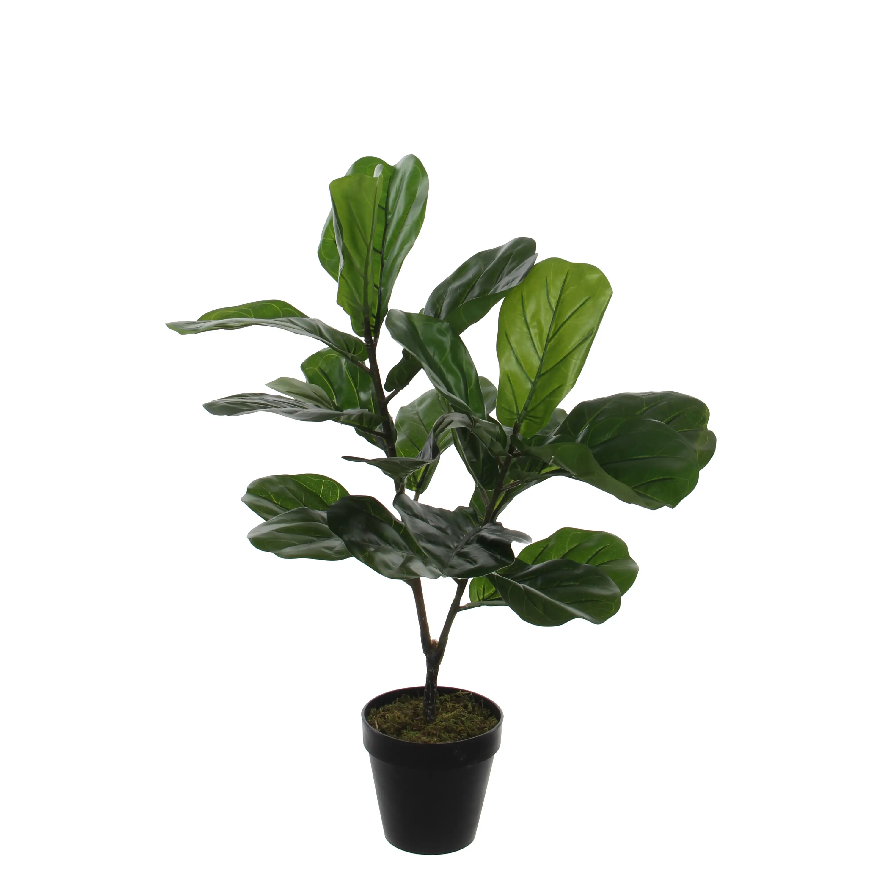 Lyrata Kunstpflanze Ficus