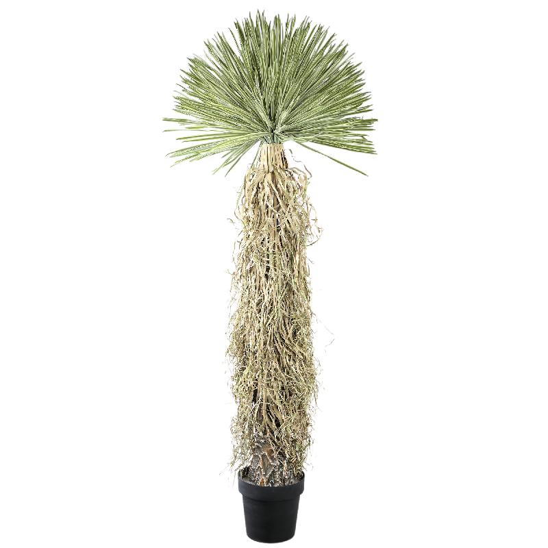 Künstliche Pflanze Yucca kaufen home24