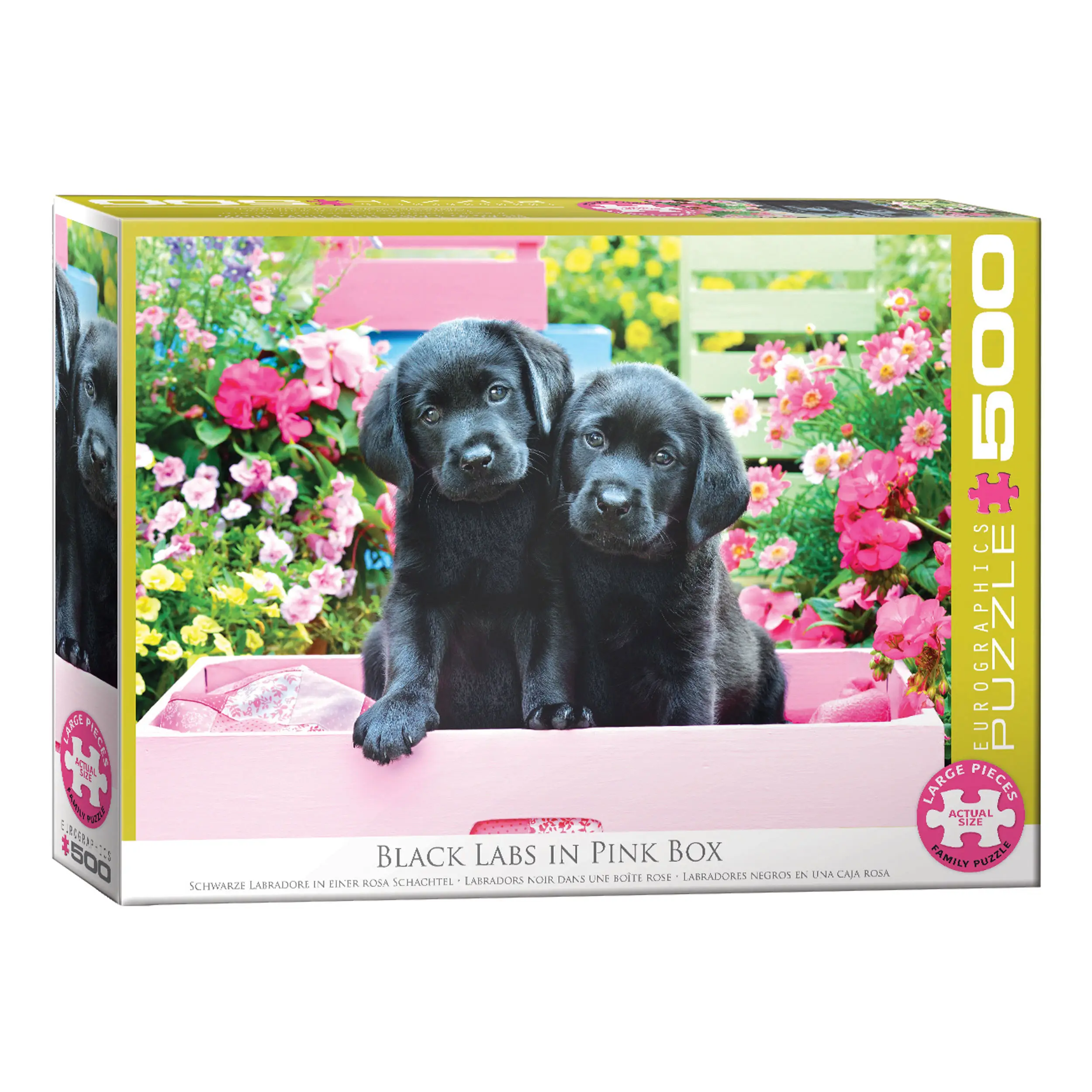 Pink Labs in Box Puzzle Black
