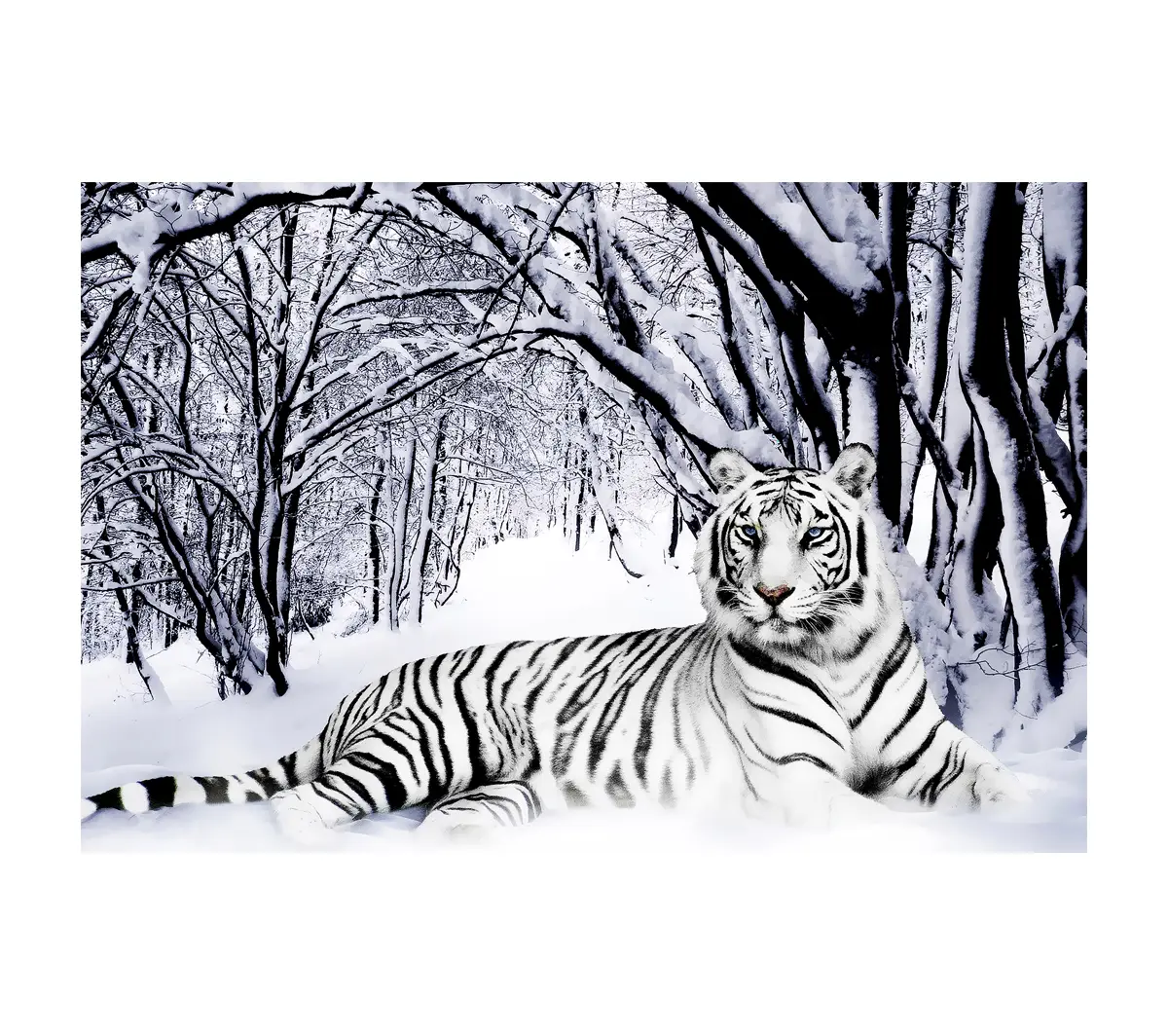 im Wandkunst Schnee Tiger Wei脽er