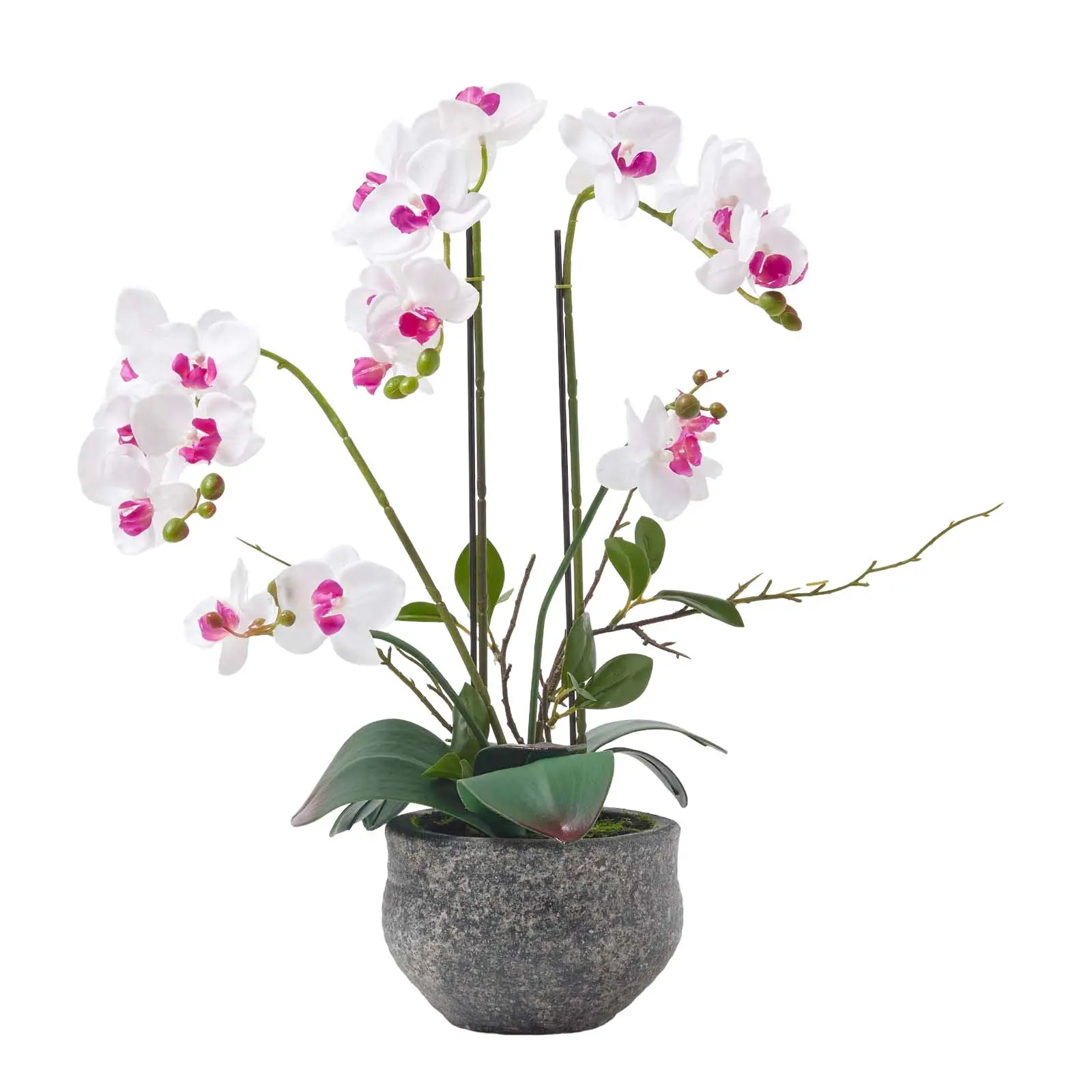 K眉nstliche Phalaenopsis-Orchidee wei脽e