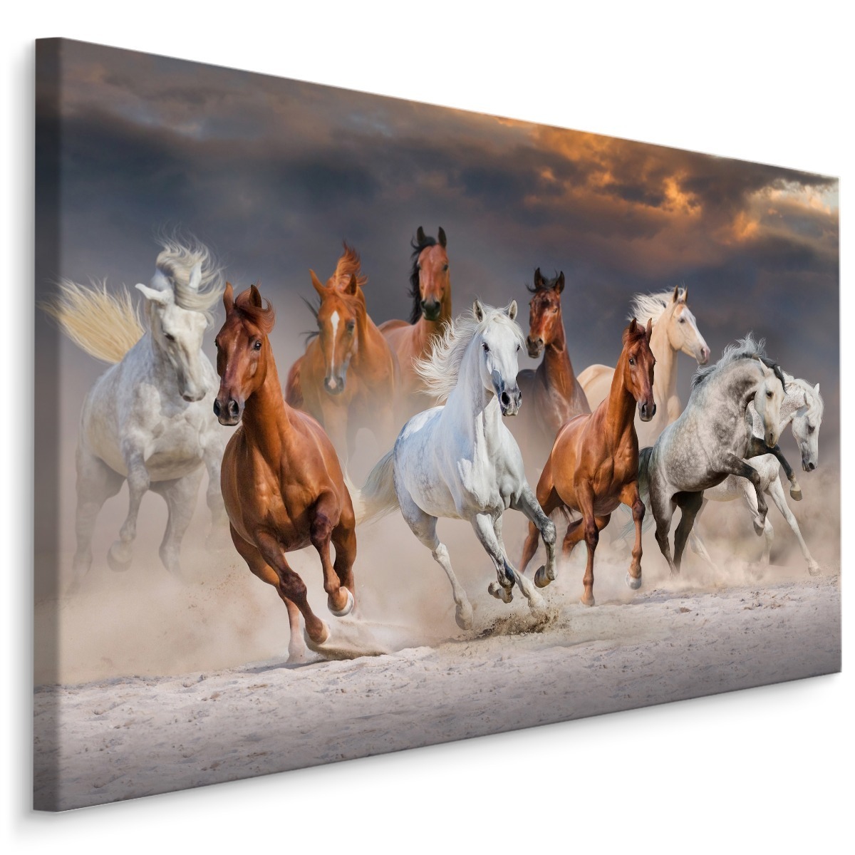 Tableau Sur Verre Trempé Tulup 120x60 Cm - Cheval Arabe Blanc - Design Moderne - Neuf