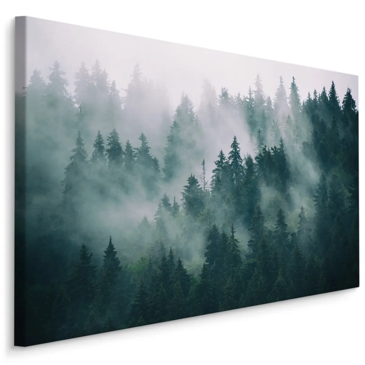 Leinwandbild Wald im Nebel Landschaft 3D