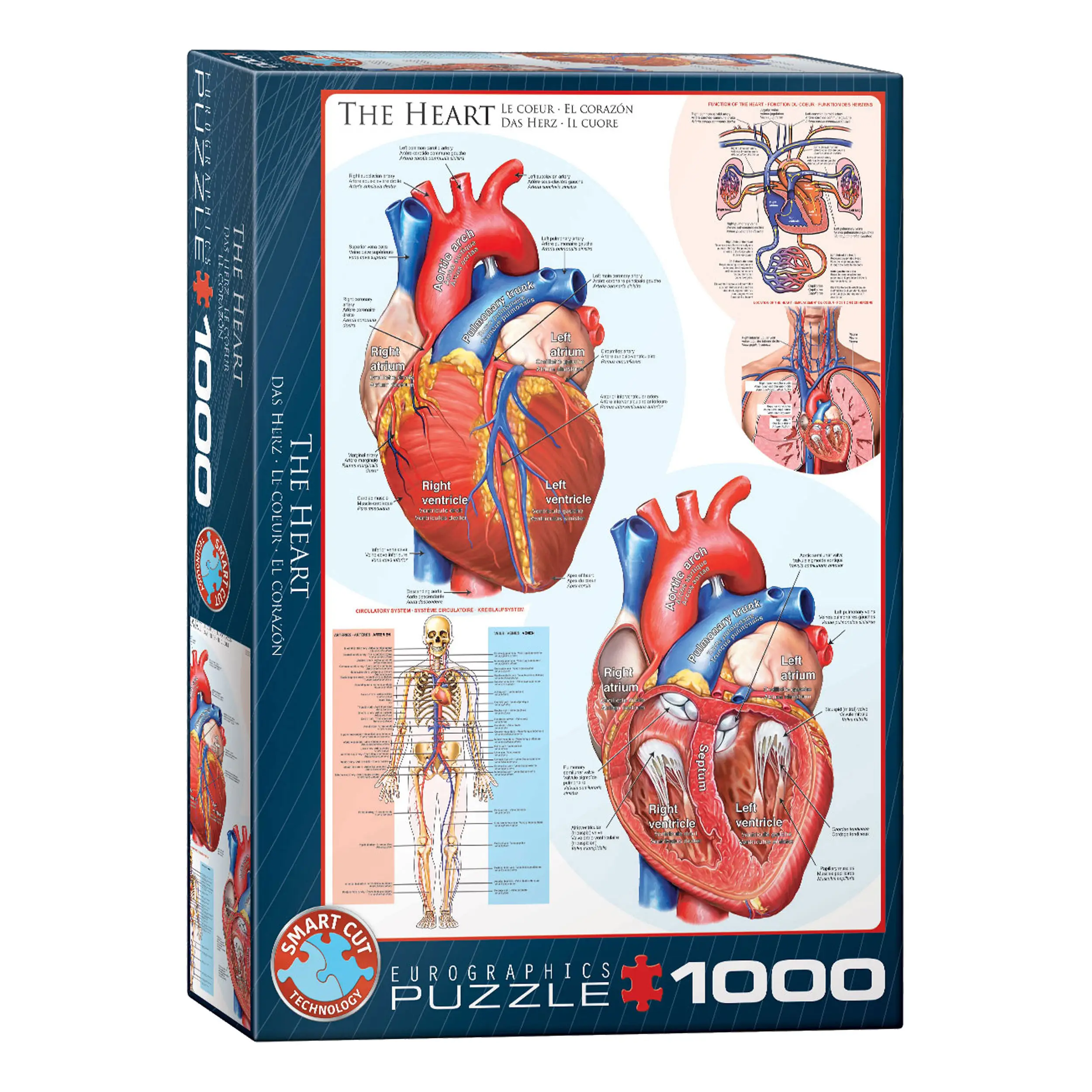Herz Das Teile 1000 Puzzle